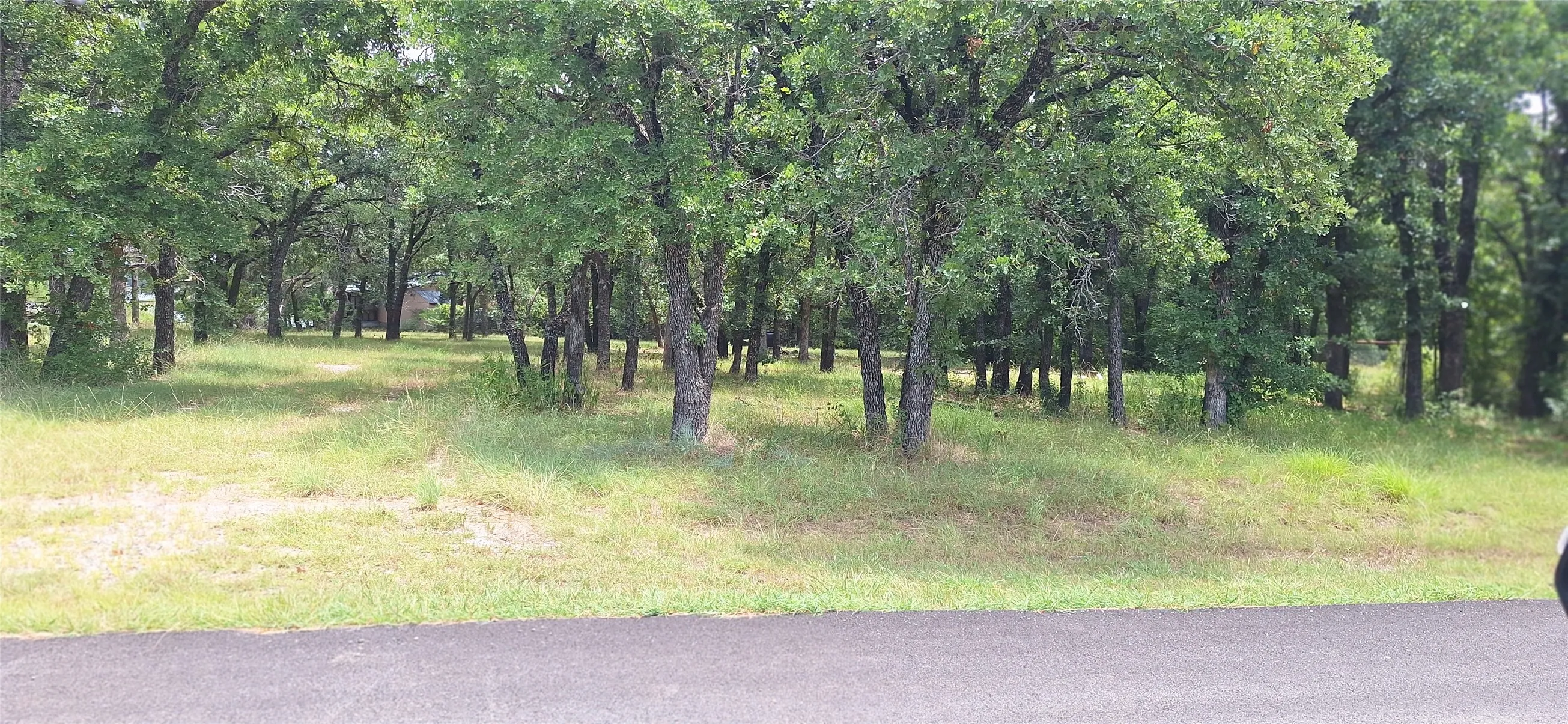 Improved Land For Sale in Eastland County , 699 County Road 529, Eastland, Texas 76448, 0, 0, Garage spaces, 0 Sqft, built in 0, mls#21330124, Real Estate Agent in Eastland, Homes For Sale in Eastland county, Homes For Sale in Eastland, Realtor in Eastland Texas, Real Estate Brokerage Independent Realty Texas, Luminita Cordes Realtor