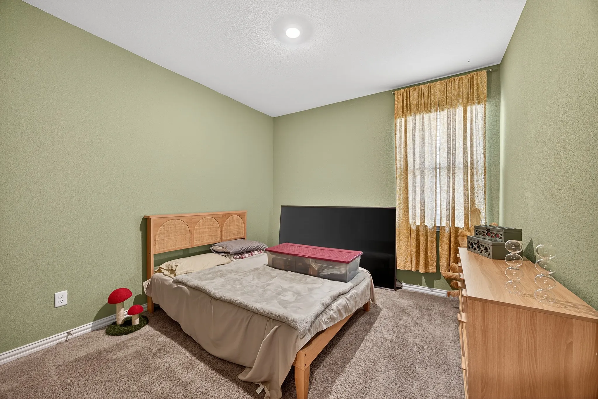 Carpeted room with light green walls, a single window, and a ceiling-mounted light fixture