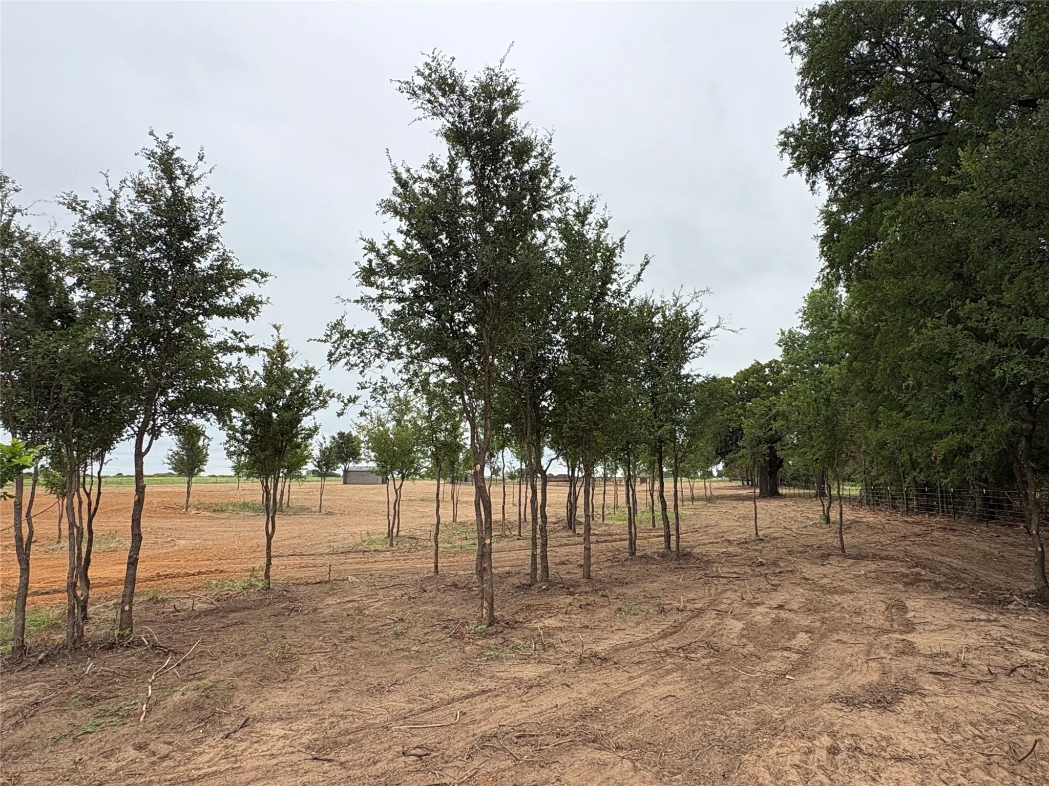 Improved Land For Sale in Eastland County , TBD HWY 8, Gorman, Texas 76454, 0, 0, Garage spaces, 0 Sqft, built in 0, mls#21329746, Real Estate Agent in Gorman, Homes For Sale in Eastland county, Homes For Sale in Gorman, Realtor in Gorman Texas, Real Estate Brokerage Independent Realty Texas, Luminita Cordes Realtor