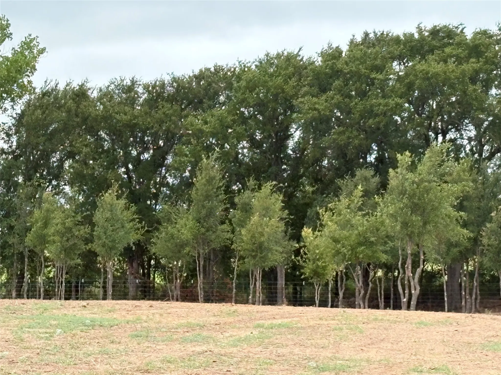 Improved Land For Sale in Eastland County , TBD HWY 8, Gorman, Texas 76454, 0, 0, Garage spaces, 0 Sqft, built in 0, mls#21329746, Real Estate Agent in Gorman, Homes For Sale in Eastland county, Homes For Sale in Gorman, Realtor in Gorman Texas, Real Estate Brokerage Independent Realty Texas, Luminita Cordes Realtor