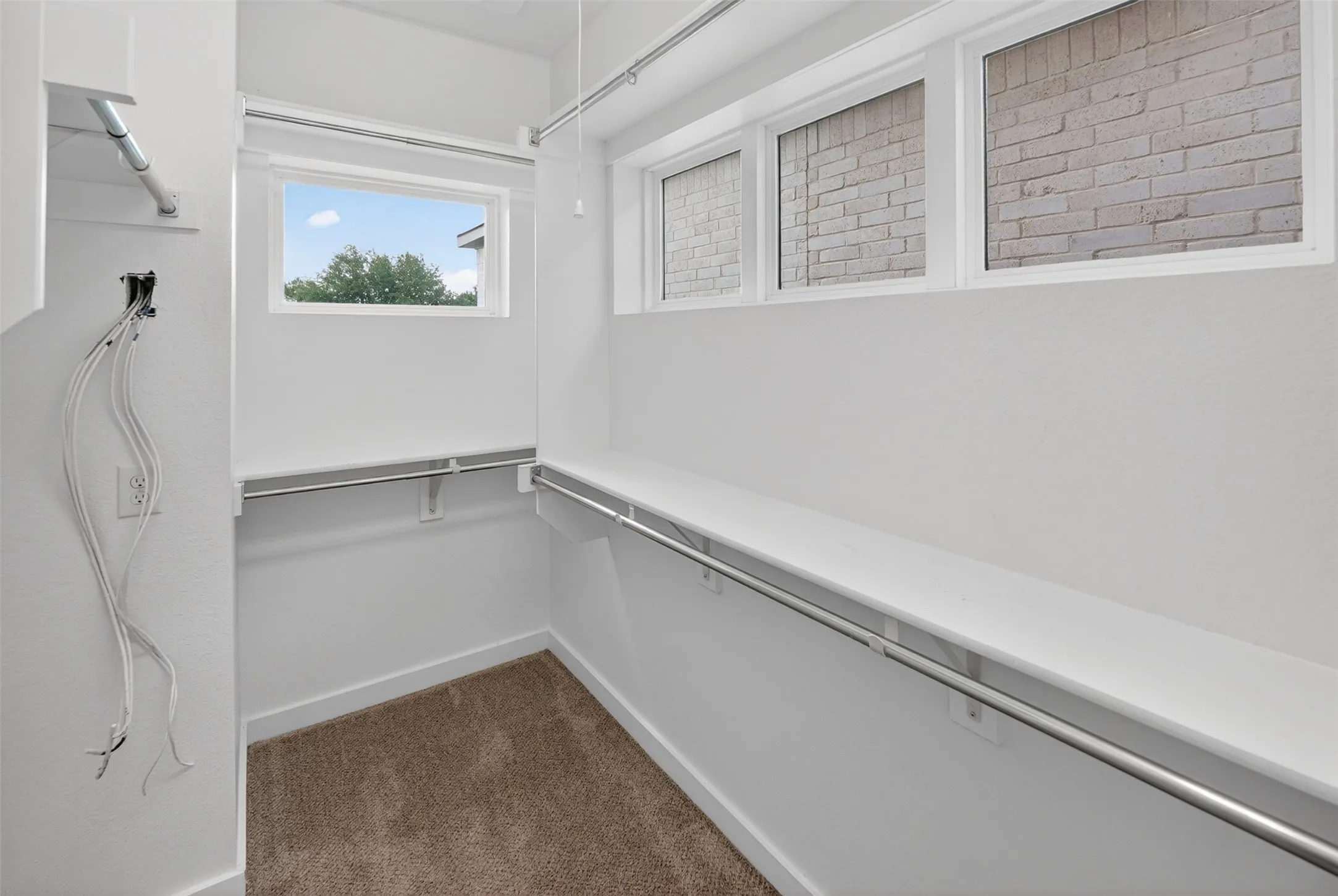 Walk-in closet featuring light brown carpet, white walls, multiple hanging rods, shelving, and two windows