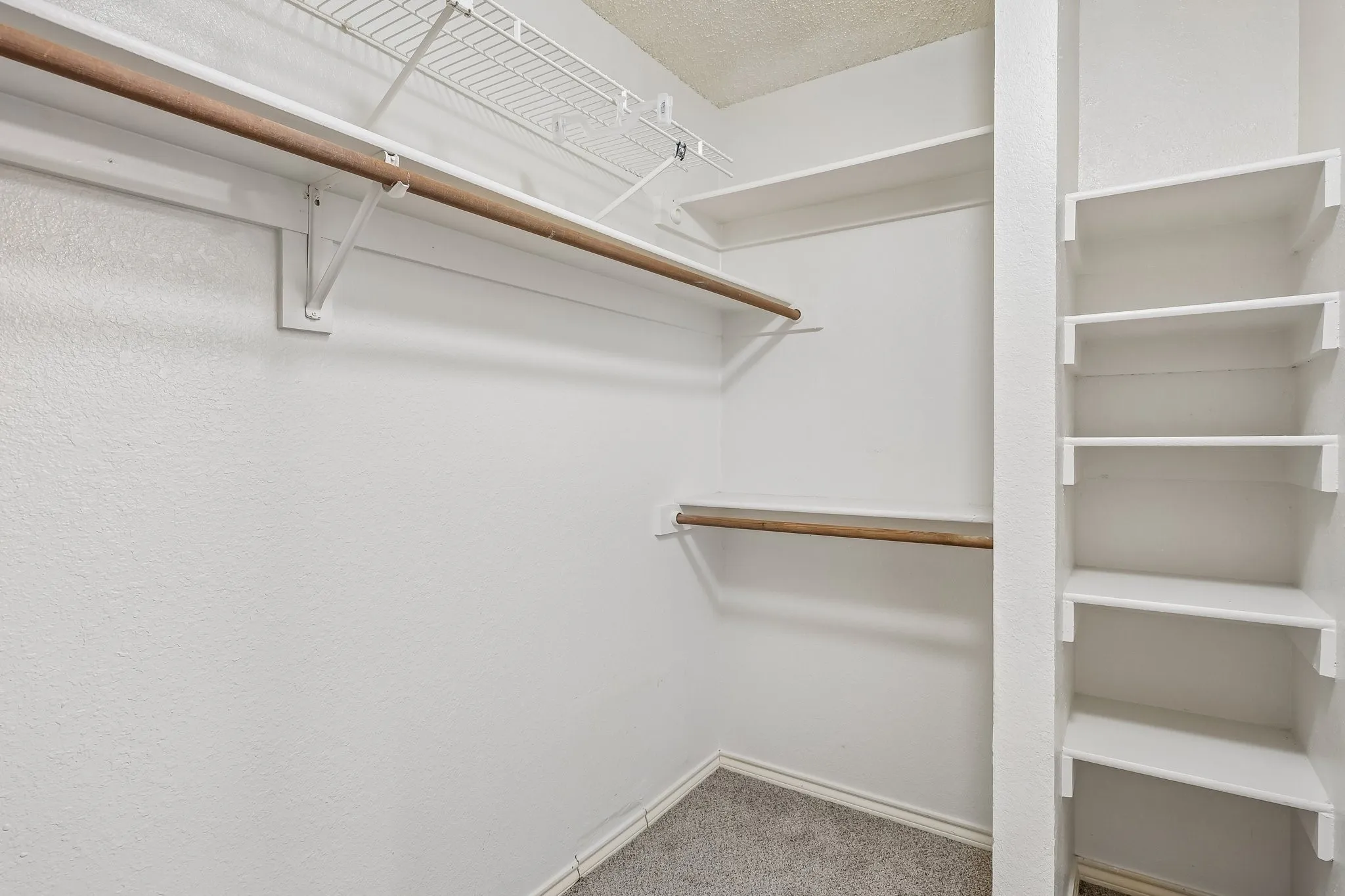Walk-in closet featuring built-in shelving, dual hanging rods, a wire shelf, and soft gray carpeting