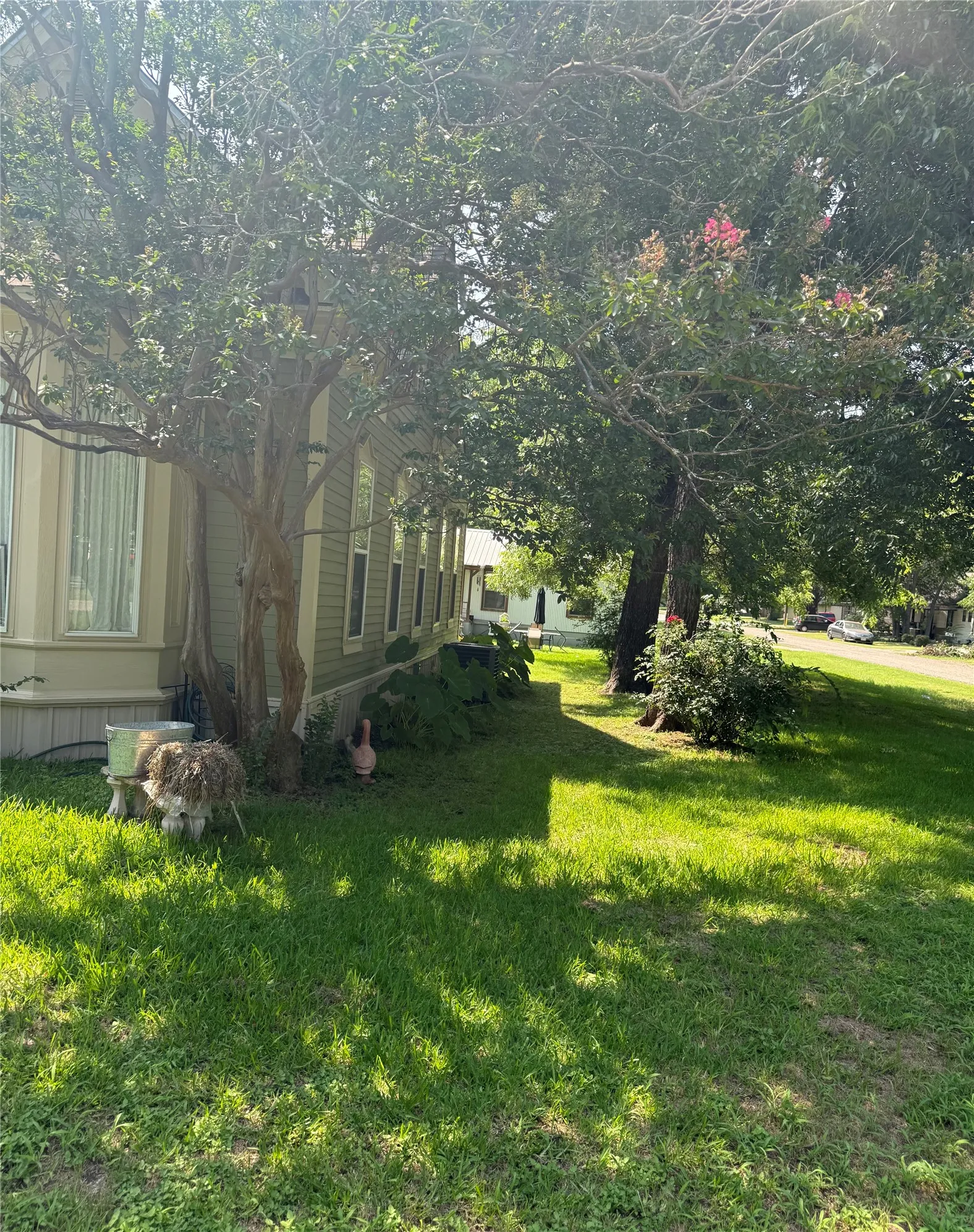 Siding exterior with multiple windows and mature trees