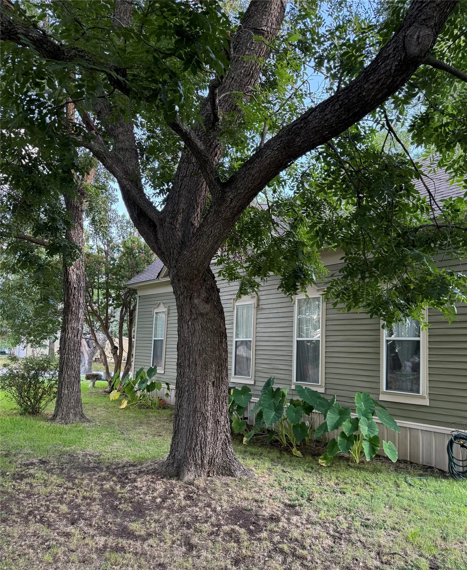 Mature trees providing ample shade
