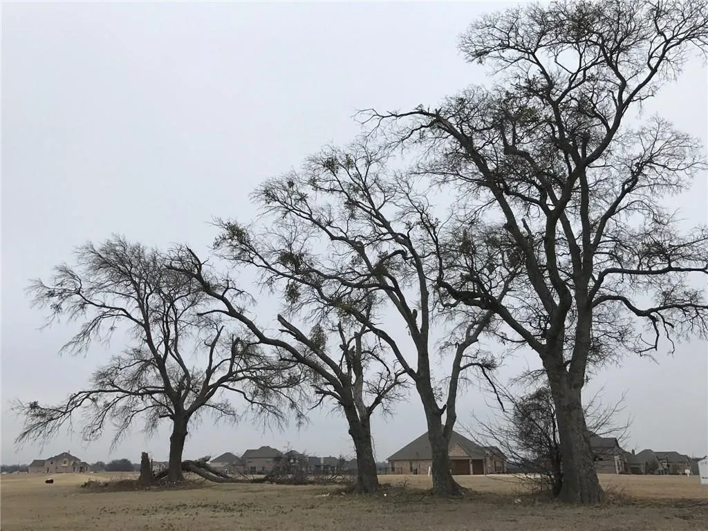 Unimproved Land For Sale in Grayson County , 1922 Running Deer Lane, Gunter, Texas 75058, 0, 0, Garage spaces, 0 Sqft, built in 0, Price $250,000, mls#21330291, Real Estate Agent in Gunter, Homes For Sale in Grayson county, Homes For Sale in Gunter, Realtor in Gunter Texas, Real Estate Brokerage Independent Realty Texas, Luminita Cordes Realtor