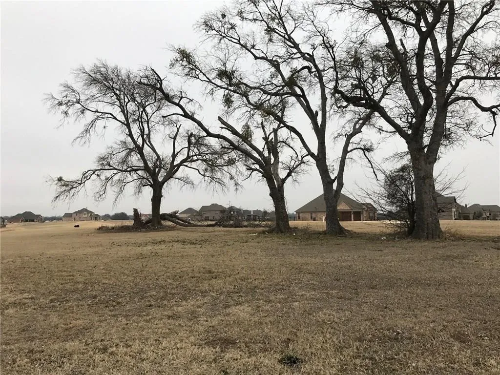 Unimproved Land For Sale in Grayson County , 1922 Running Deer Lane, Gunter, Texas 75058, 0, 0, Garage spaces, 0 Sqft, built in 0, Price $250,000, mls#21330291, Real Estate Agent in Gunter, Homes For Sale in Grayson county, Homes For Sale in Gunter, Realtor in Gunter Texas, Real Estate Brokerage Independent Realty Texas, Luminita Cordes Realtor