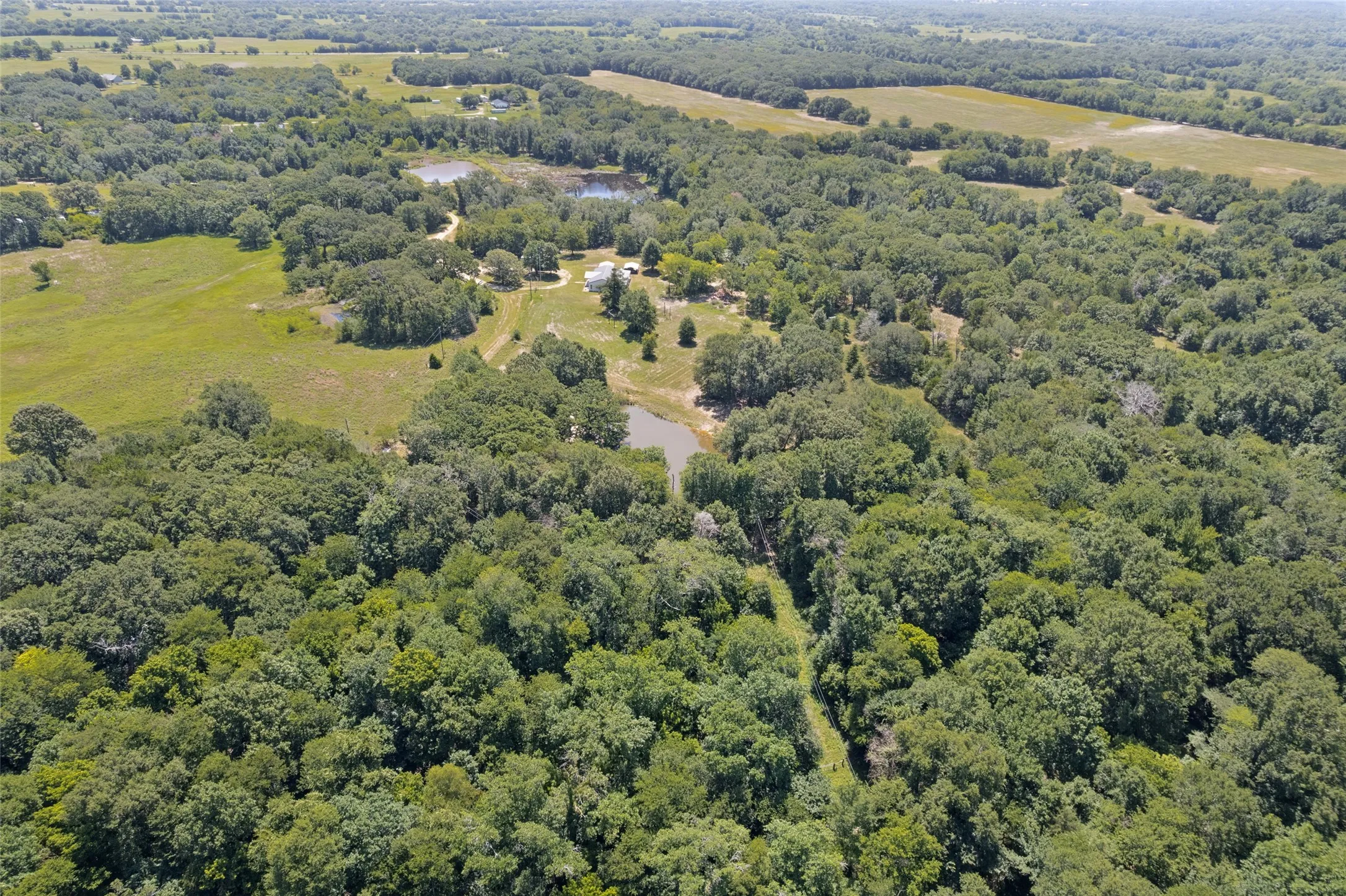 Expansive wooded acreage featuring two visible ponds and cleared areas, offering a mix of dense tree cover and open land