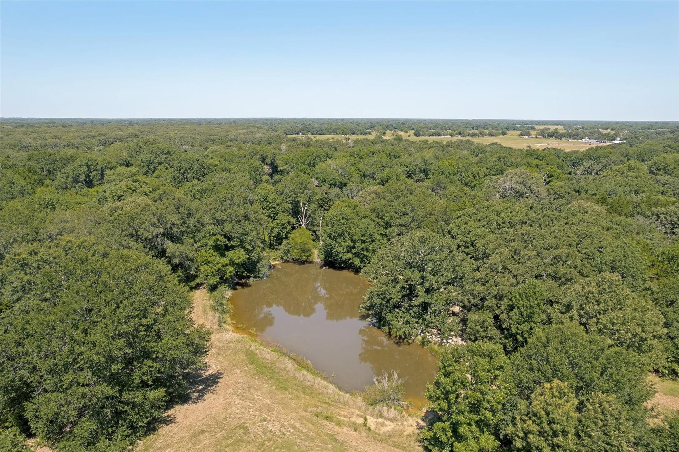 Private pond surrounded by mature trees
