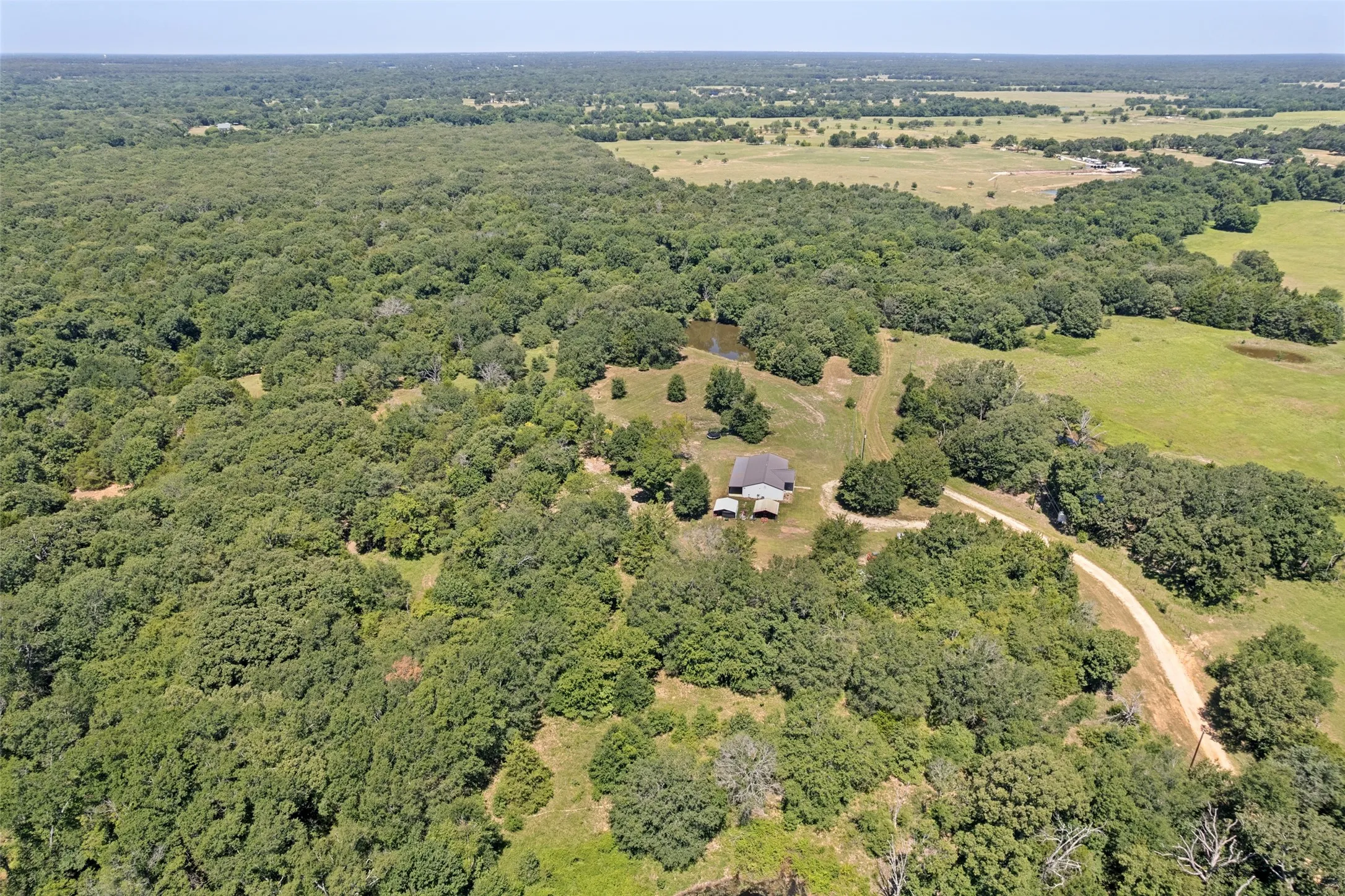 Expansive wooded acreage featuring a private residence with a gray roof and light-colored siding, a visible pond, a winding dirt road, and surrounding open fields