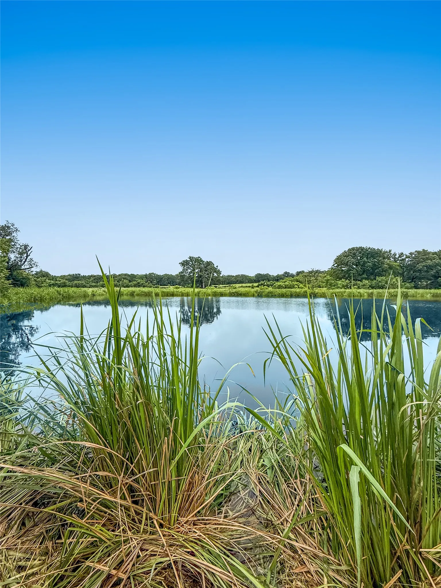 Improved Land For Sale in Henderson County , 9224 County Road 1200, Athens, Texas 75751, 0, 0, Garage spaces, 0 Sqft, built in 0, mls#21330289, Real Estate Agent in Athens, Homes For Sale in Henderson county, Homes For Sale in Athens, Realtor in Athens Texas, Real Estate Brokerage Independent Realty Texas, Luminita Cordes Realtor