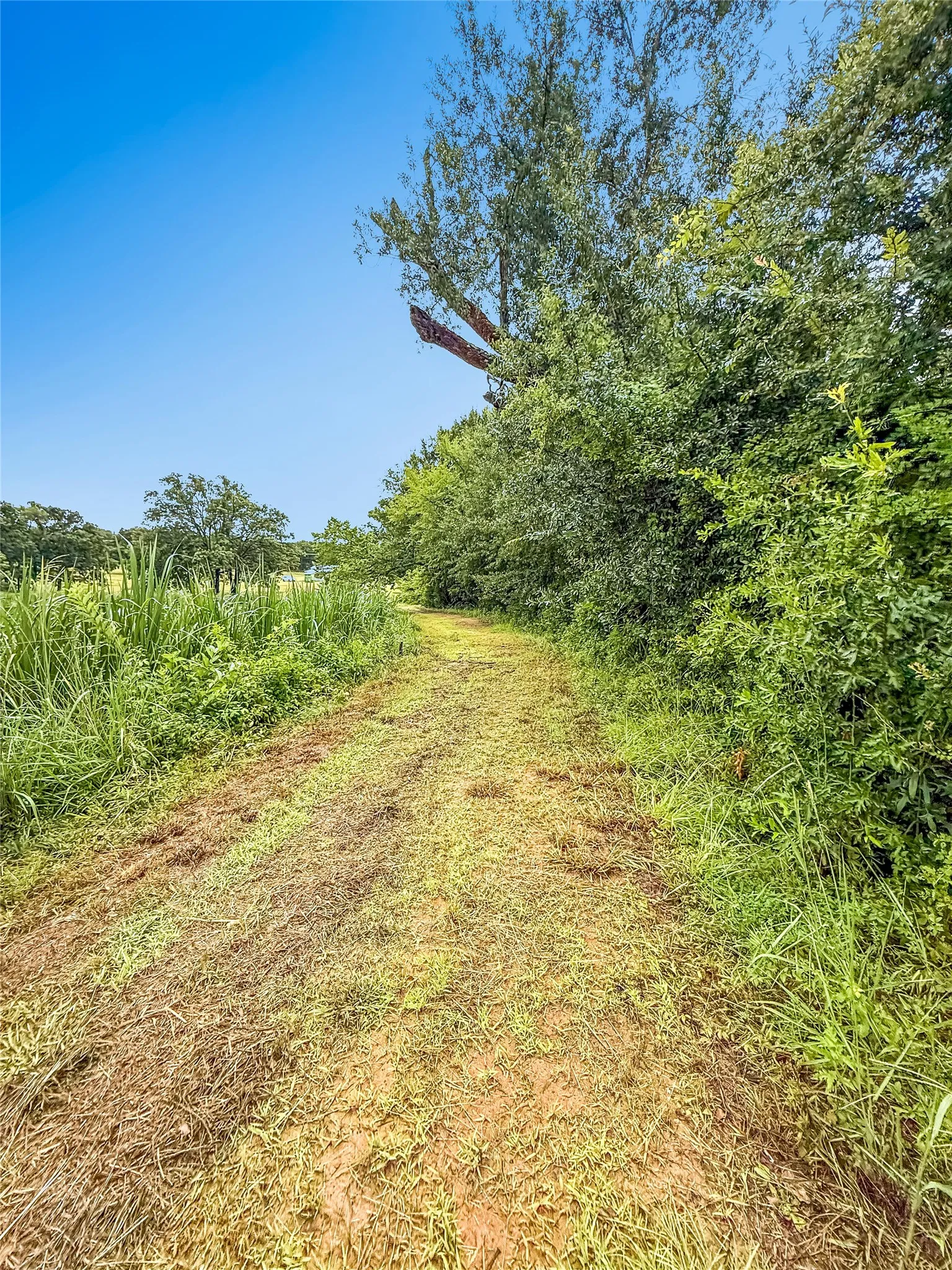 Improved Land For Sale in Henderson County , 9224 County Road 1200, Athens, Texas 75751, 0, 0, Garage spaces, 0 Sqft, built in 0, mls#21330289, Real Estate Agent in Athens, Homes For Sale in Henderson county, Homes For Sale in Athens, Realtor in Athens Texas, Real Estate Brokerage Independent Realty Texas, Luminita Cordes Realtor