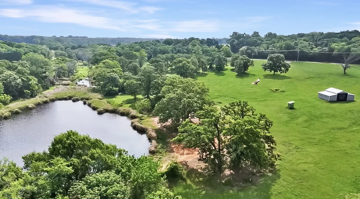 Improved Land For Sale in Henderson County , 9224 County Road 1200, Athens, Texas 75751, 0, 0, Garage spaces, 0 Sqft, built in 0, mls#21330289, Real Estate Agent in Athens, Homes For Sale in Henderson county, Homes For Sale in Athens, Realtor in Athens Texas, Real Estate Brokerage Independent Realty Texas, Luminita Cordes Realtor