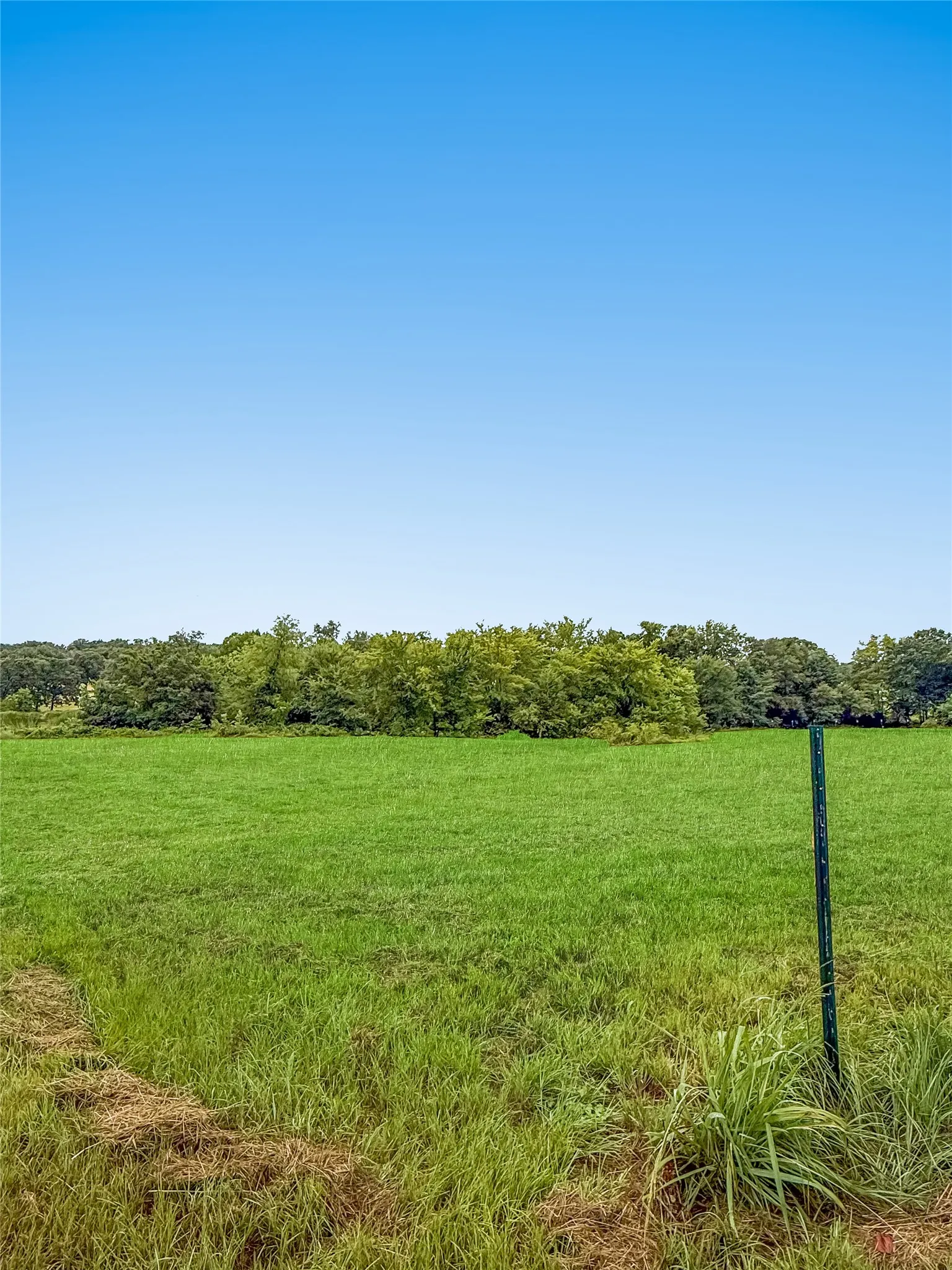 Back Pasture