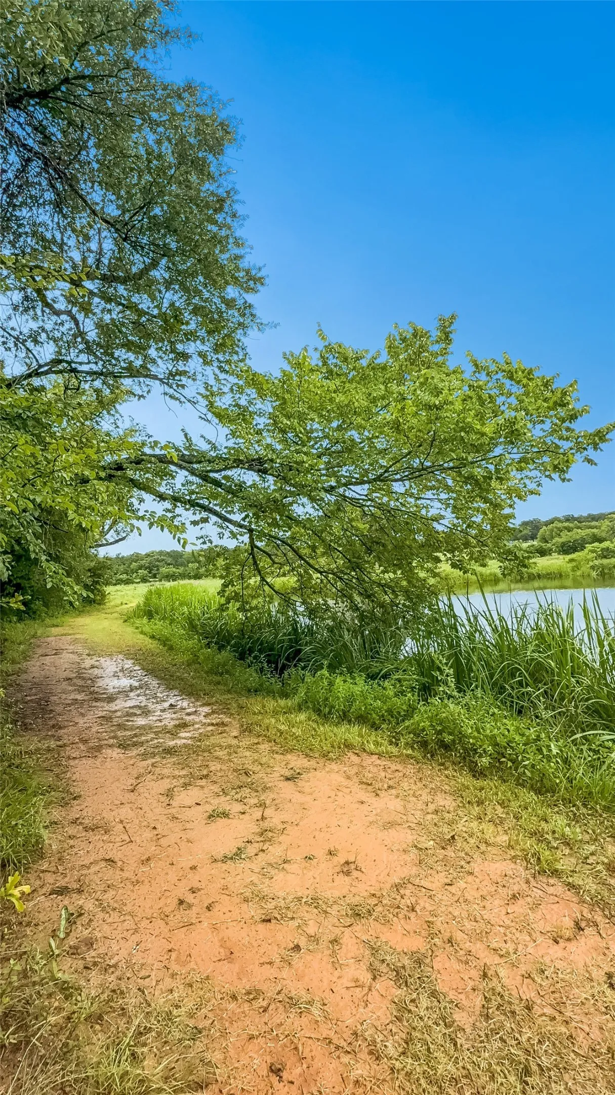 Trail alongside the pond to back pasture