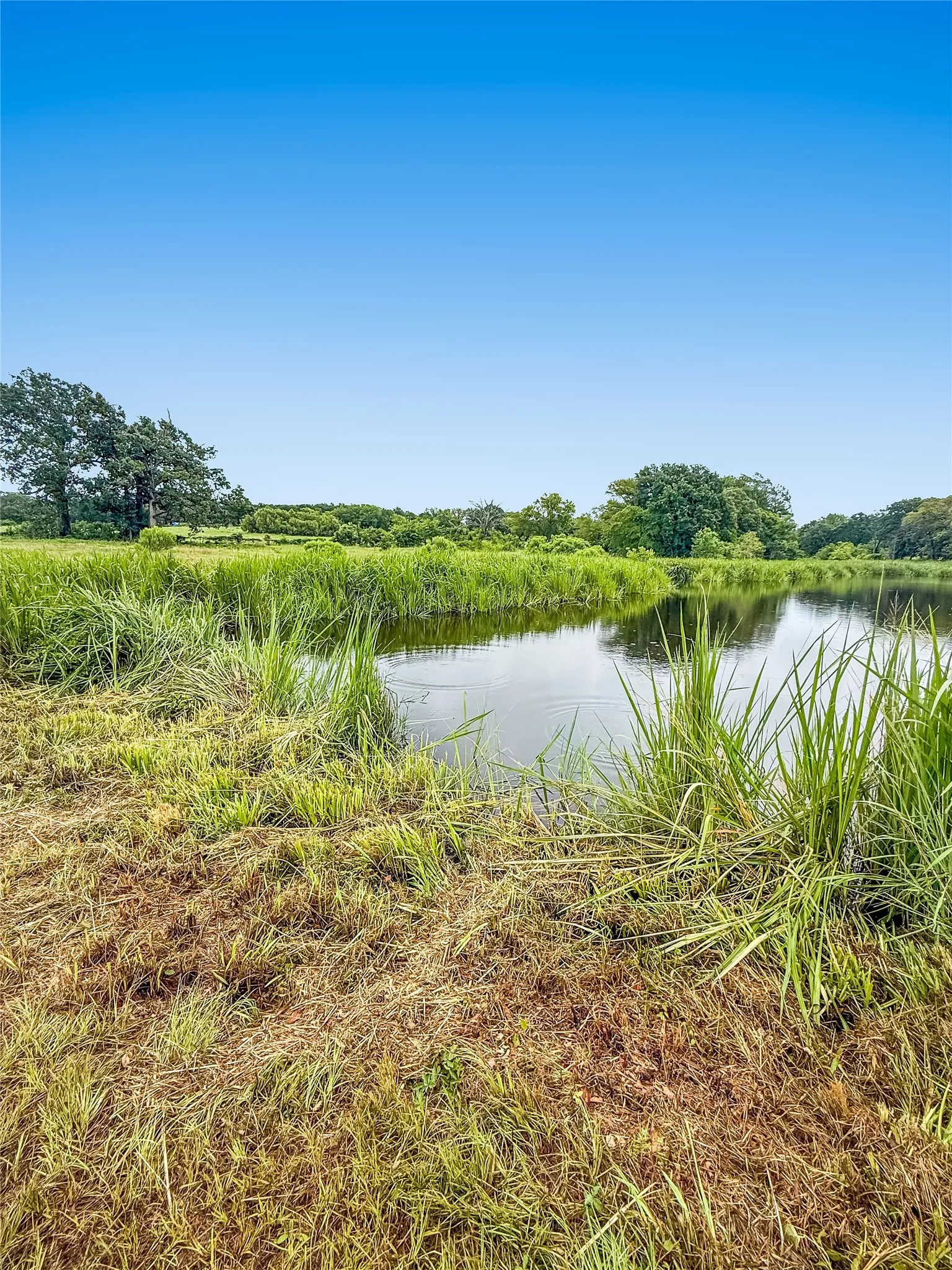 Improved Land For Sale in Henderson County , 9224 County Road 1200, Athens, Texas 75751, 0, 0, Garage spaces, 0 Sqft, built in 0, mls#21330289, Real Estate Agent in Athens, Homes For Sale in Henderson county, Homes For Sale in Athens, Realtor in Athens Texas, Real Estate Brokerage Independent Realty Texas, Luminita Cordes Realtor
