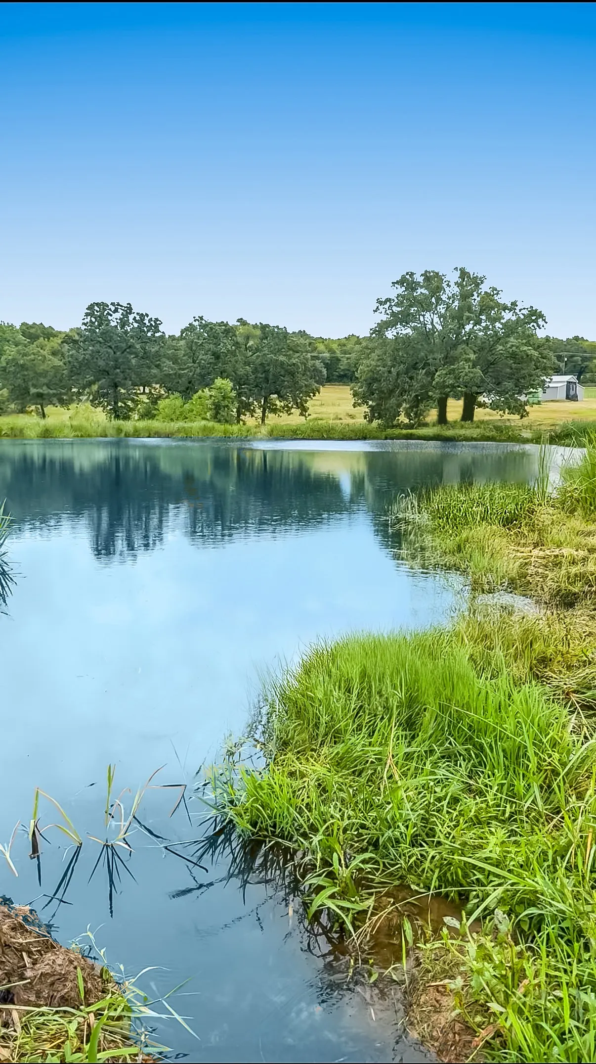 Improved Land For Sale in Henderson County , 9224 County Road 1200, Athens, Texas 75751, 0, 0, Garage spaces, 0 Sqft, built in 0, mls#21330289, Real Estate Agent in Athens, Homes For Sale in Henderson county, Homes For Sale in Athens, Realtor in Athens Texas, Real Estate Brokerage Independent Realty Texas, Luminita Cordes Realtor