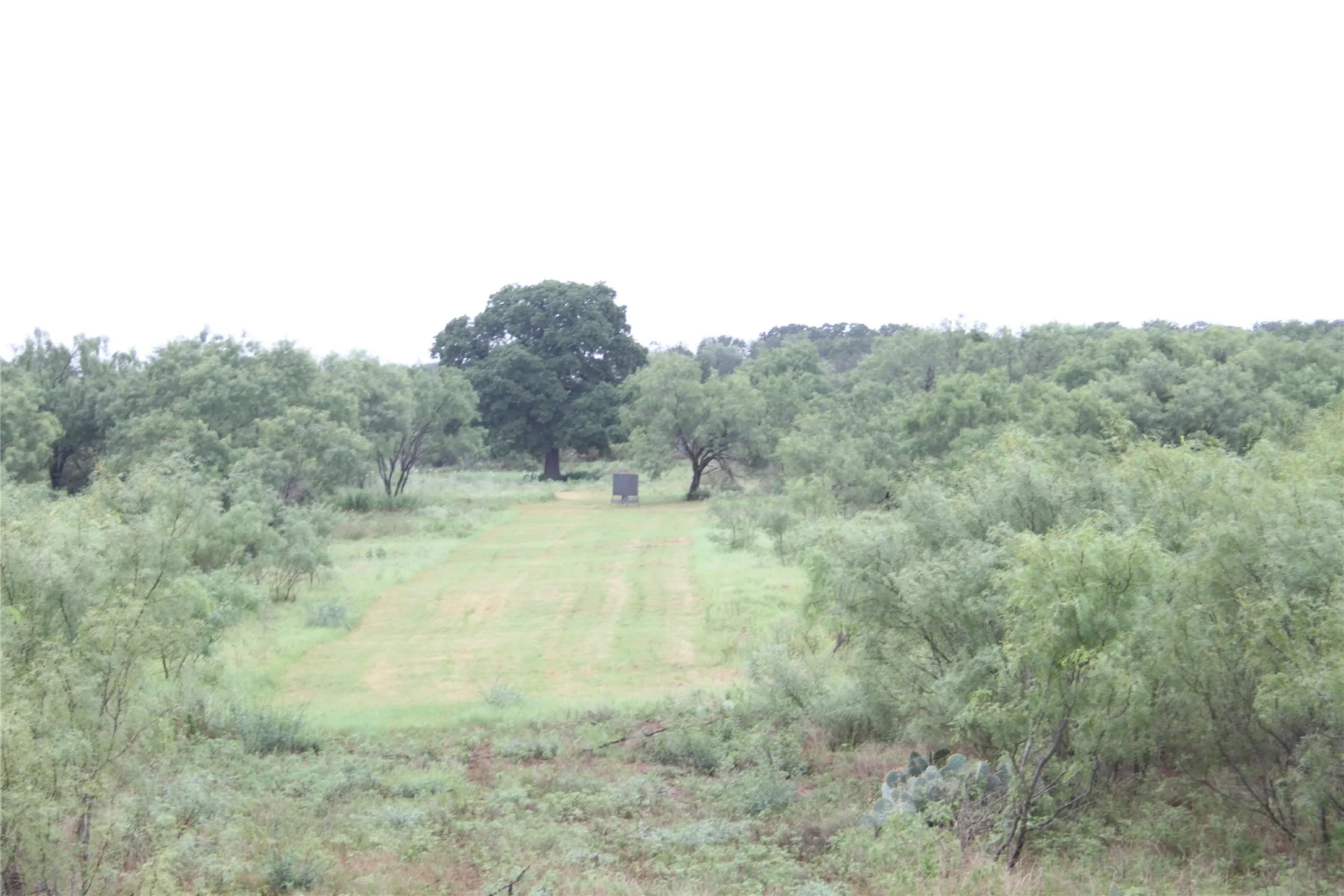 Mobile Home For Sale in San Saba County , 7255 County Road 124, San Saba, Texas 76877, 4 Bedroom, 3 Bathroom, Garage spaces, 1,960 Sqft, built in 1993, mls#21327912, Real Estate Agent in San Saba, Homes For Sale in San Saba county, Homes For Sale in San Saba, Realtor in San Saba Texas, Real Estate Brokerage Independent Realty Texas, Luminita Cordes Realtor