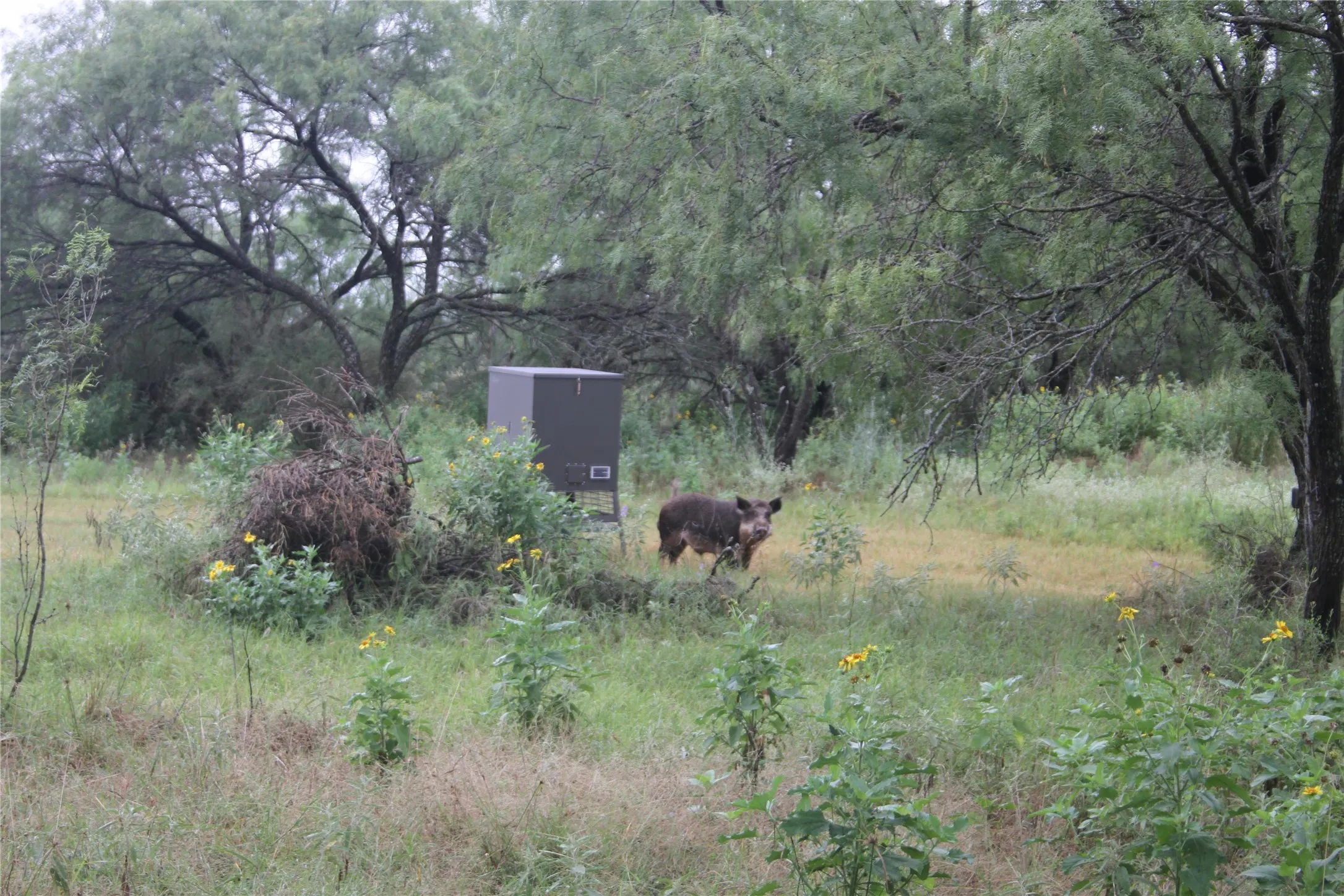 Mobile Home For Sale in San Saba County , 7255 County Road 124, San Saba, Texas 76877, 4 Bedroom, 3 Bathroom, Garage spaces, 1,960 Sqft, built in 1993, mls#21327912, Real Estate Agent in San Saba, Homes For Sale in San Saba county, Homes For Sale in San Saba, Realtor in San Saba Texas, Real Estate Brokerage Independent Realty Texas, Luminita Cordes Realtor