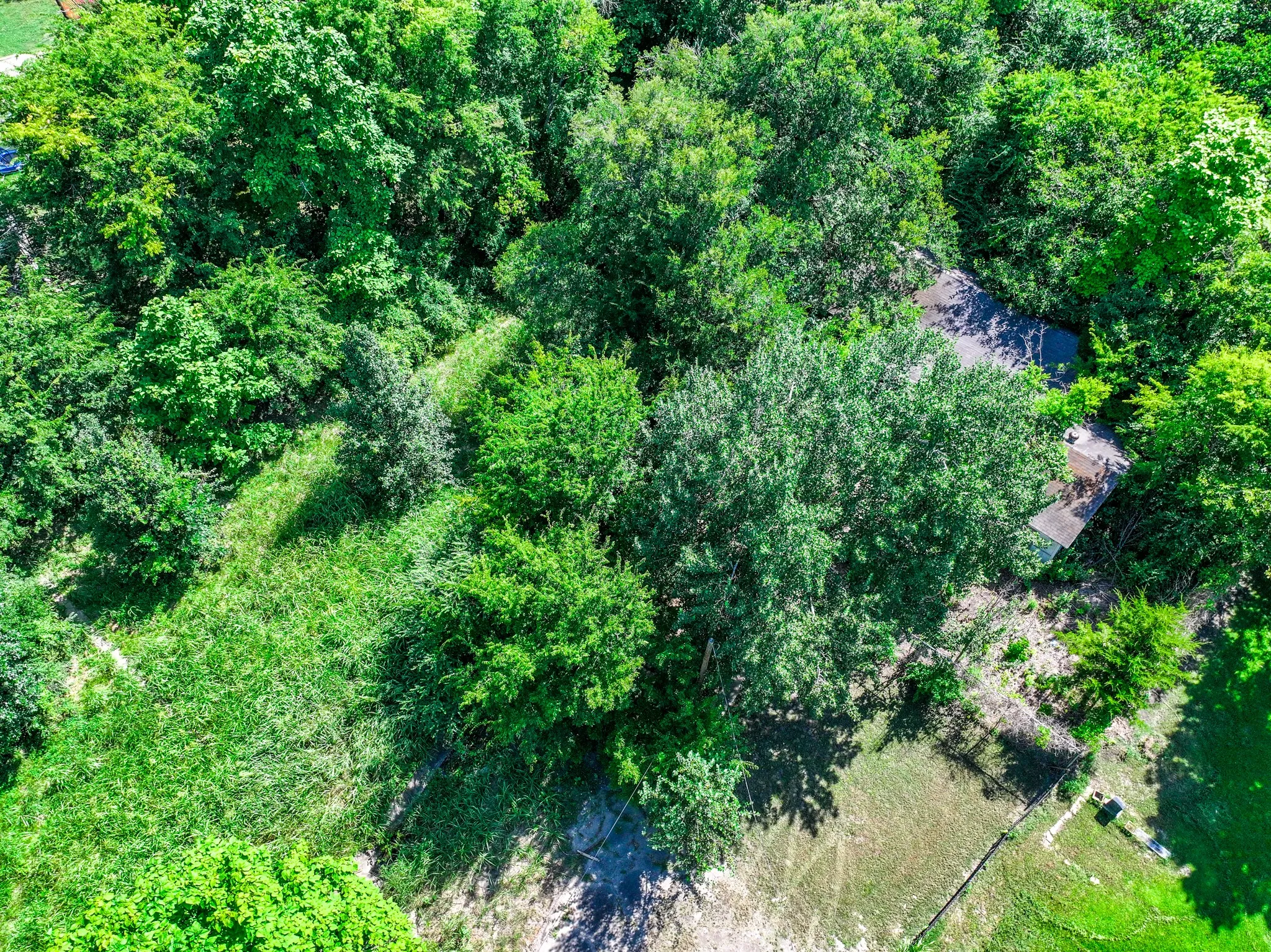 Unimproved Land For Sale in Red River (TX) County , TBD W Taylor Street, Clarksville, Texas 75426, 0, 0, Garage spaces, 0 Sqft, built in 0, mls#21330306, Real Estate Agent in Clarksville, Homes For Sale in Red River (TX) county, Homes For Sale in Clarksville, Realtor in Clarksville Texas, Real Estate Brokerage Independent Realty Texas, Luminita Cordes Realtor