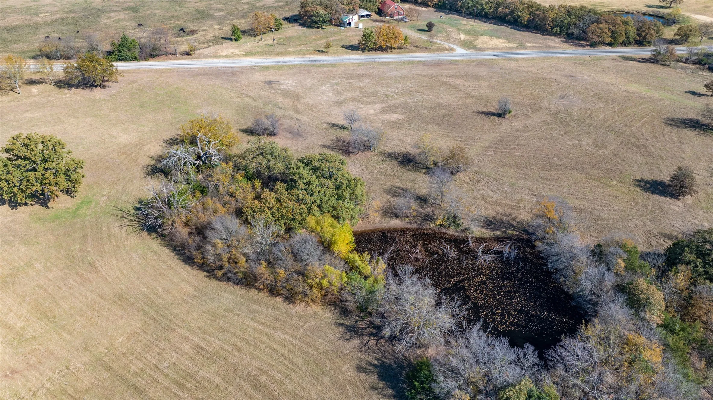 Unimproved Land For Sale in Cooke County , Lot 4 CR 220, Gainesville, Texas 76240, 0, 0, Garage spaces, 0 Sqft, built in 0, mls#21330347, Real Estate Agent in Gainesville, Homes For Sale in Cooke county, Homes For Sale in Gainesville, Realtor in Gainesville Texas, Real Estate Brokerage Independent Realty Texas, Luminita Cordes Realtor