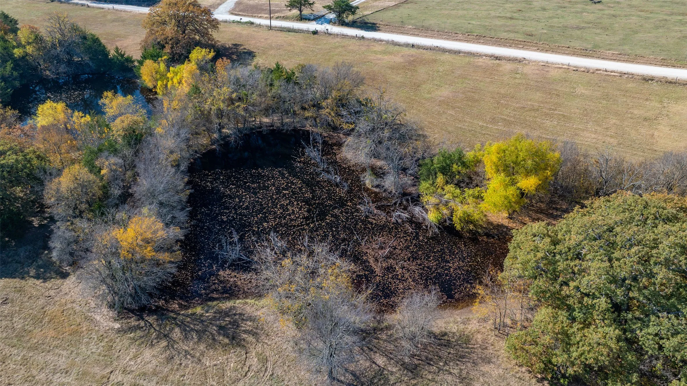 Unimproved Land For Sale in Cooke County , Lot 4 CR 220, Gainesville, Texas 76240, 0, 0, Garage spaces, 0 Sqft, built in 0, mls#21330347, Real Estate Agent in Gainesville, Homes For Sale in Cooke county, Homes For Sale in Gainesville, Realtor in Gainesville Texas, Real Estate Brokerage Independent Realty Texas, Luminita Cordes Realtor