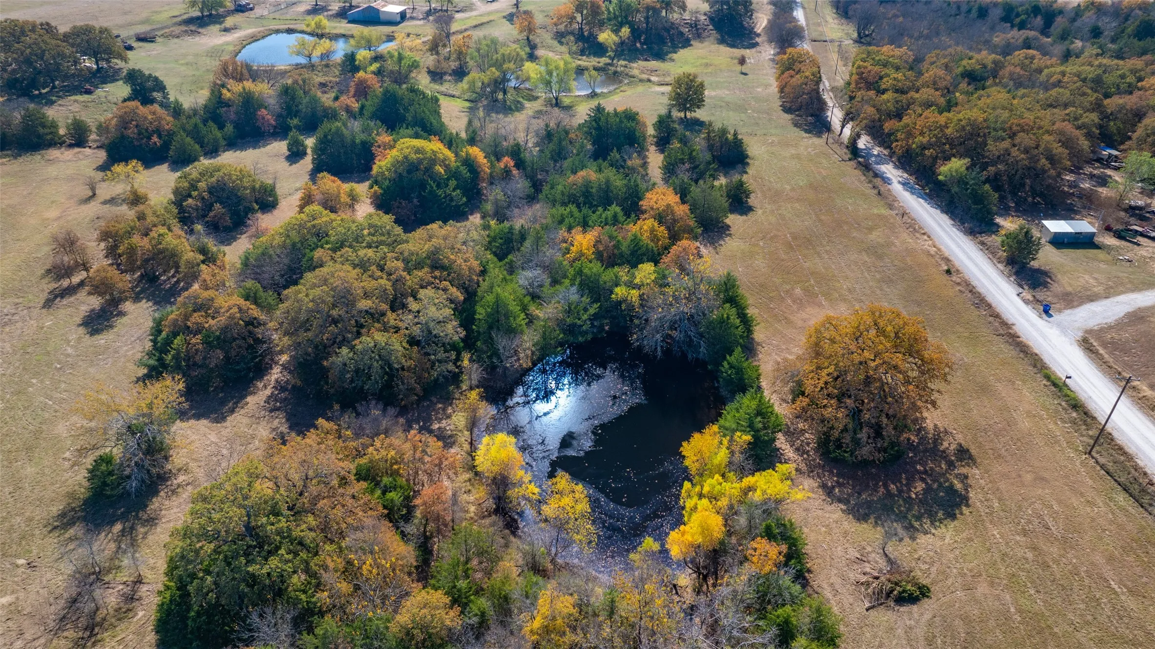 Unimproved Land For Sale in Cooke County , Lot 3 CR 220, Gainesville, Texas 76240, 0, 0, Garage spaces, 0 Sqft, built in 0, mls#21330354, Real Estate Agent in Gainesville, Homes For Sale in Cooke county, Homes For Sale in Gainesville, Realtor in Gainesville Texas, Real Estate Brokerage Independent Realty Texas, Luminita Cordes Realtor