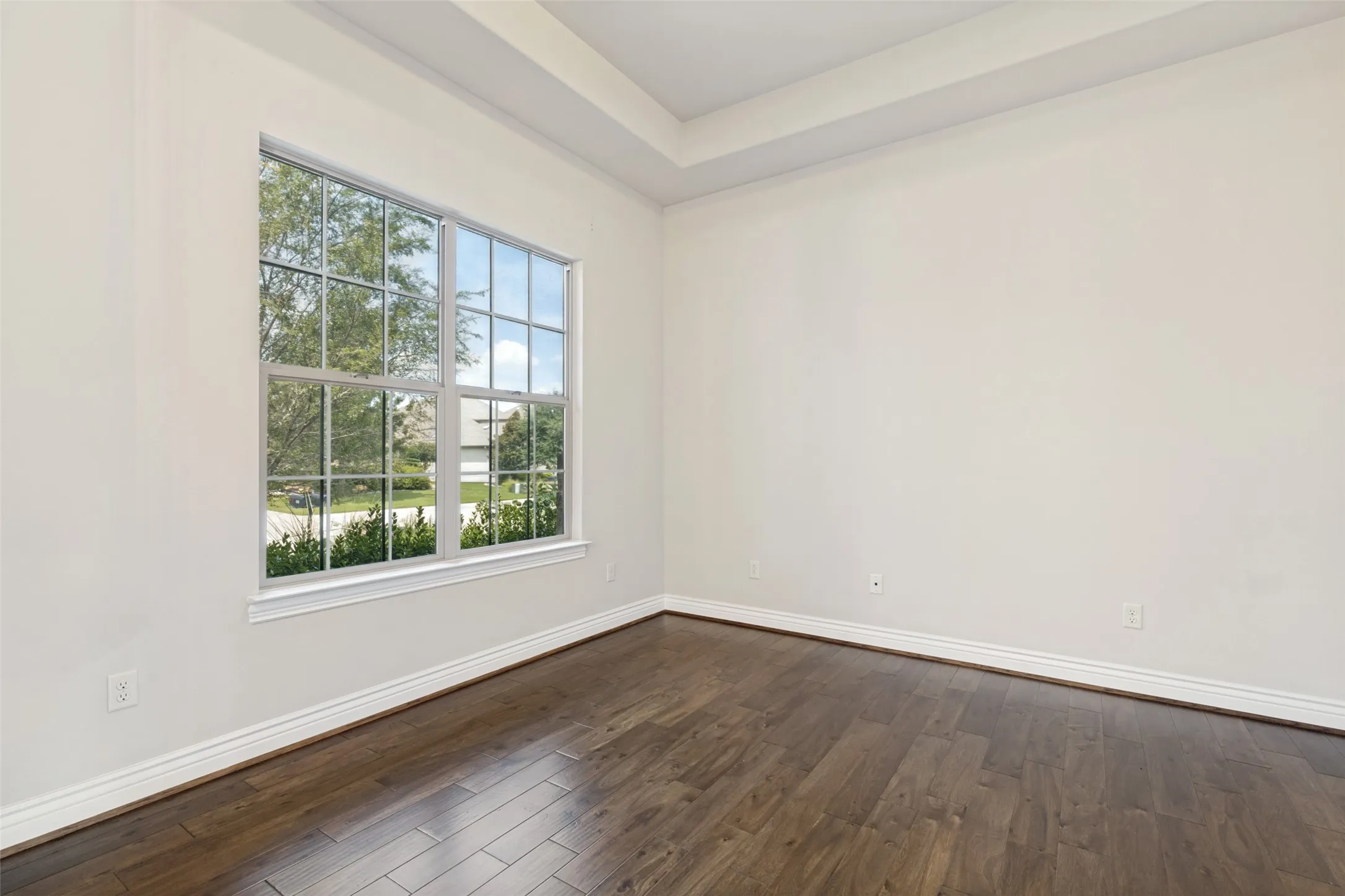Room featuring a large grid-pane window, wood-finish flooring, white baseboards, and a tray ceiling