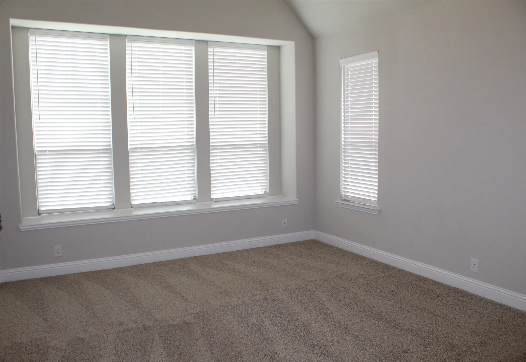 Single Family Residence For Rent in Collin County , 1402 Welch Drive, Princeton, Texas 75407, 4 Bedroom, 4 Bathroom, 2 Garage spaces, 3,505 Sqft, built in 2020, mls#21330376, Real Estate Agent in Princeton, Homes For Rent in Collin county, Homes For Rent in Princeton, Realtor in Princeton Texas, Real Estate Brokerage Independent Realty Texas, Luminita Cordes Realtor