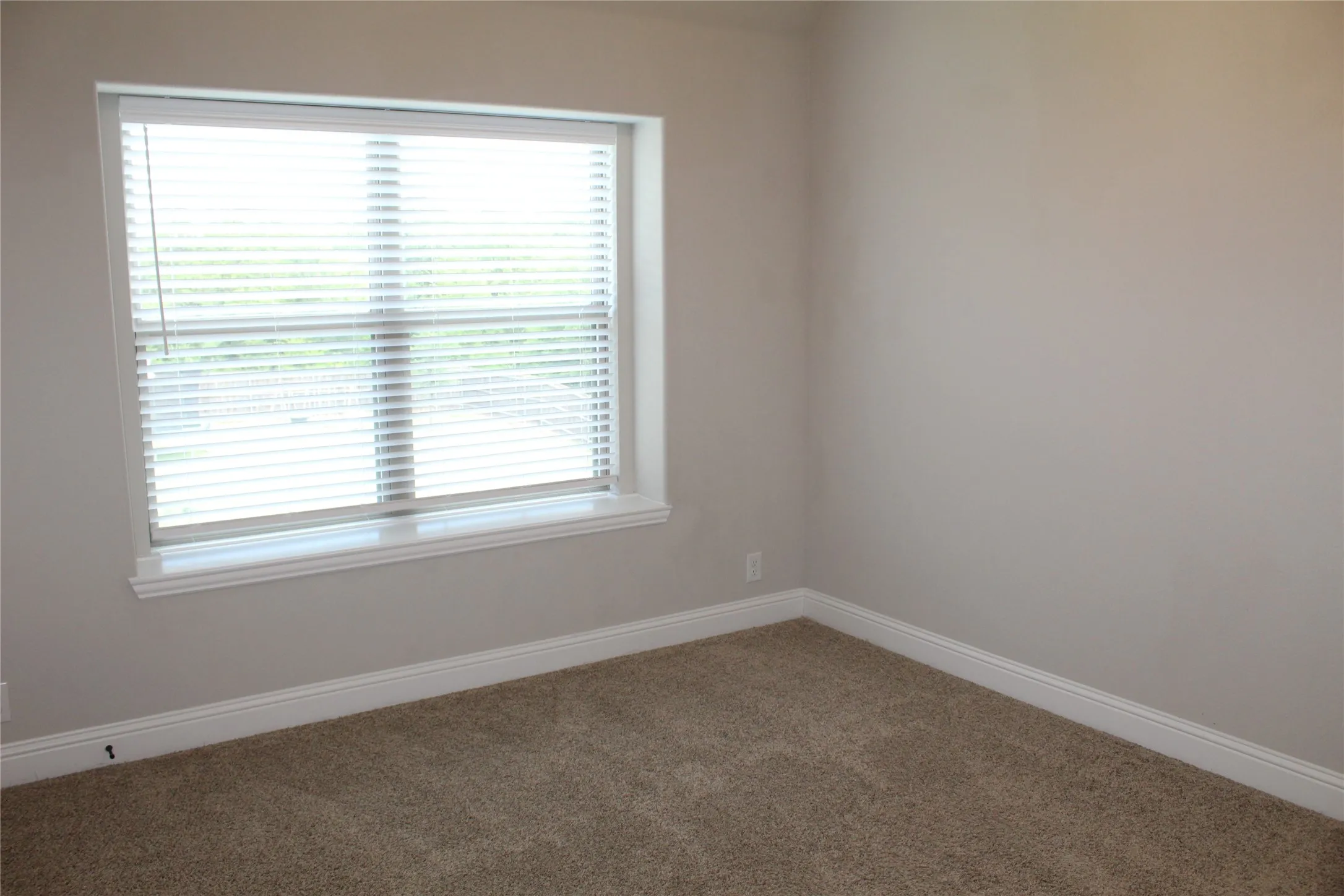 Single Family Residence For Rent in Collin County , 1402 Welch Drive, Princeton, Texas 75407, 4 Bedroom, 4 Bathroom, 2 Garage spaces, 3,505 Sqft, built in 2020, mls#21330376, Real Estate Agent in Princeton, Homes For Rent in Collin county, Homes For Rent in Princeton, Realtor in Princeton Texas, Real Estate Brokerage Independent Realty Texas, Luminita Cordes Realtor