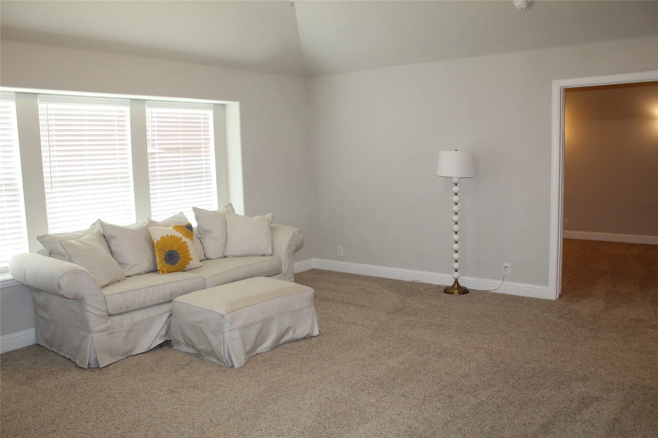 Single Family Residence For Rent in Collin County , 1402 Welch Drive, Princeton, Texas 75407, 4 Bedroom, 4 Bathroom, 2 Garage spaces, 3,505 Sqft, built in 2020, mls#21330376, Real Estate Agent in Princeton, Homes For Rent in Collin county, Homes For Rent in Princeton, Realtor in Princeton Texas, Real Estate Brokerage Independent Realty Texas, Luminita Cordes Realtor