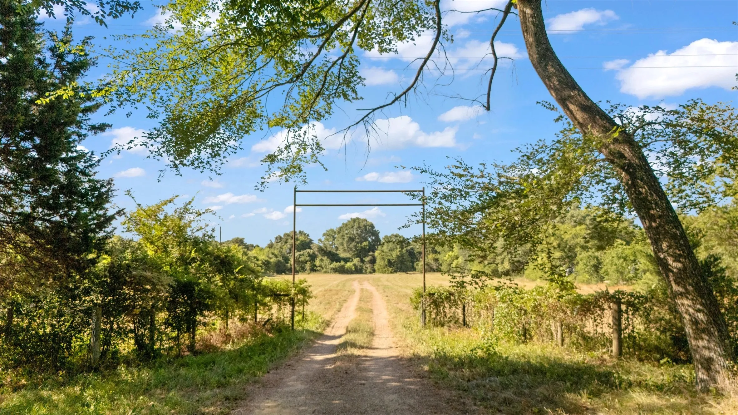 Expansive dirt track entrance framed by a natural tree canopy