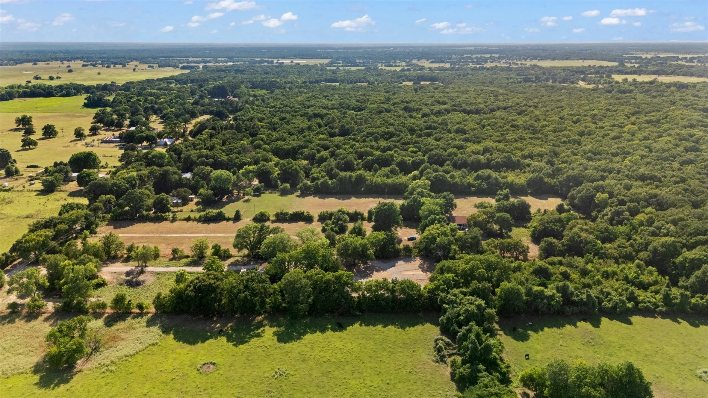 Expansive acreage featuring a mix of open fields and dense tree coverage, offering privacy and natural surroundings