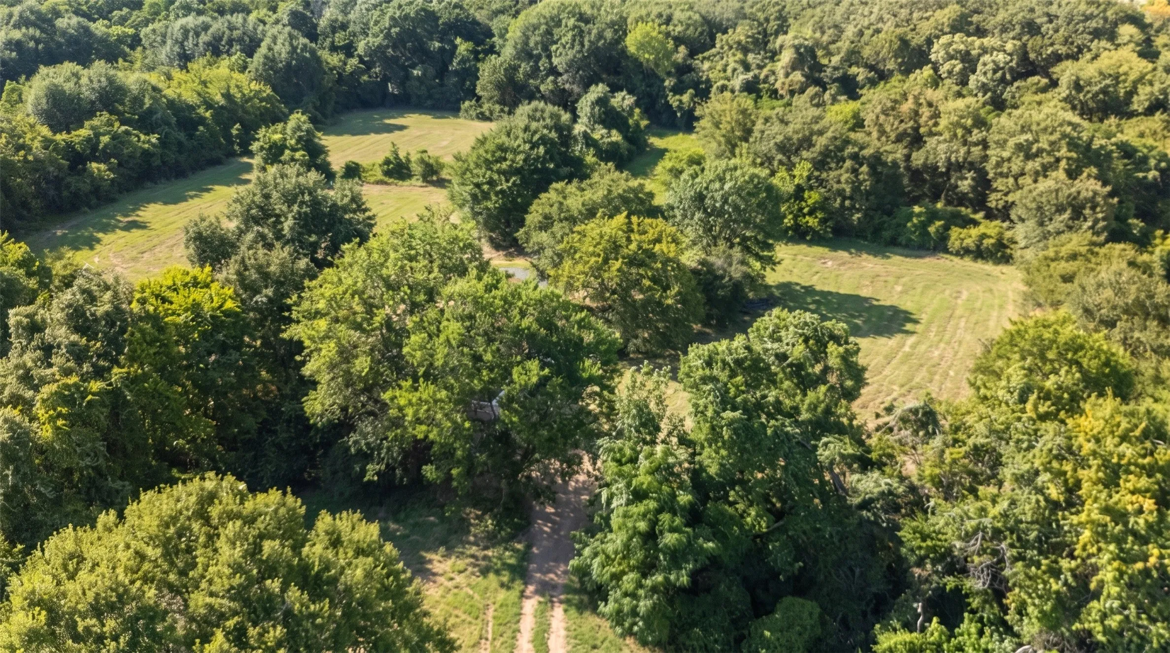 Expansive wooded property featuring mature trees, open clearings, and natural ground cover
