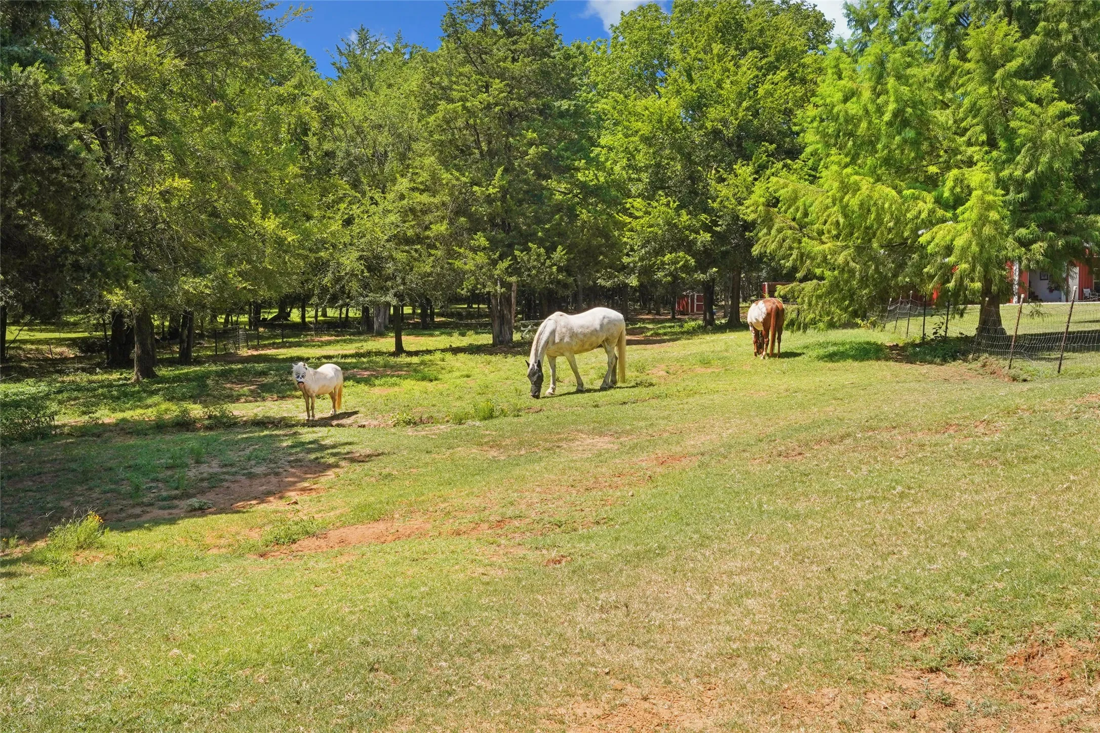 Single Family Residence For Sale in Grayson County , 1433 Old Sadler Road, Sadler, Texas 76264, 3 Bedrooms, 3 Bathrooms, 5 Garage spaces, 2,471 Sqft, built in 2013, Price $1,275,000, mls#21328760, Real Estate Agent in Sadler, Homes For Sale in Grayson county, Homes For Sale in Sadler, Realtor in Sadler Texas, Real Estate Brokerage Independent Realty Texas, Luminita Cordes Realtor
