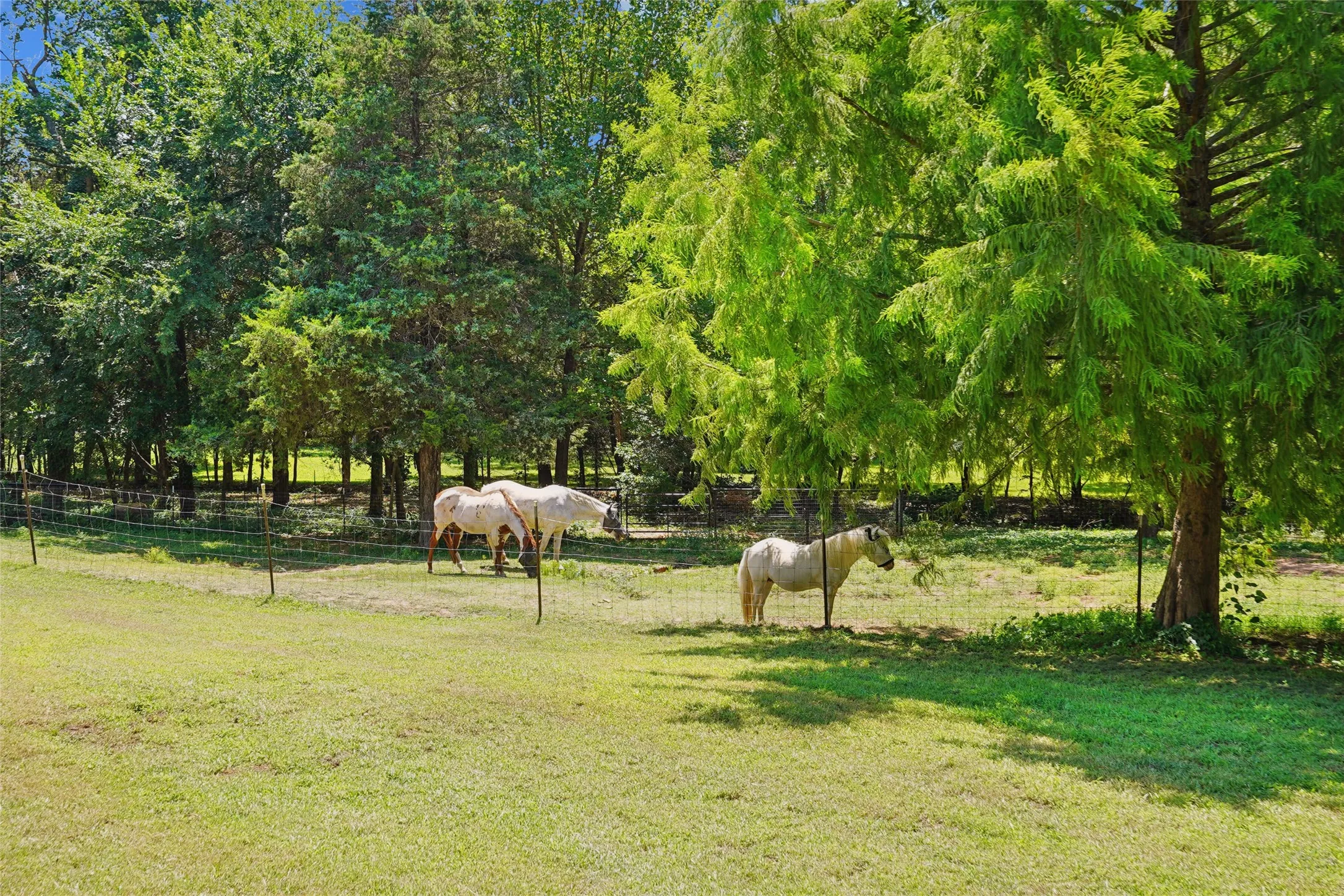Single Family Residence For Sale in Grayson County , 1433 Old Sadler Road, Sadler, Texas 76264, 3 Bedrooms, 3 Bathrooms, 5 Garage spaces, 2,471 Sqft, built in 2013, Price $1,275,000, mls#21328760, Real Estate Agent in Sadler, Homes For Sale in Grayson county, Homes For Sale in Sadler, Realtor in Sadler Texas, Real Estate Brokerage Independent Realty Texas, Luminita Cordes Realtor