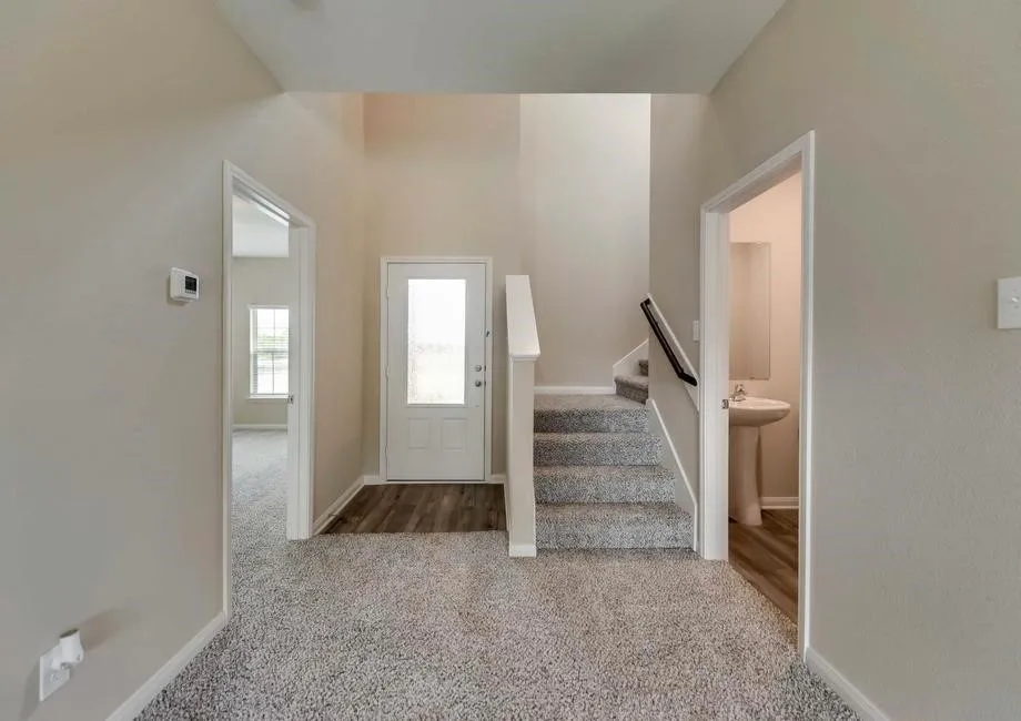 Entryway featuring a two-story ceiling, a front door with privacy glass, wood-finish flooring, and plush carpeting