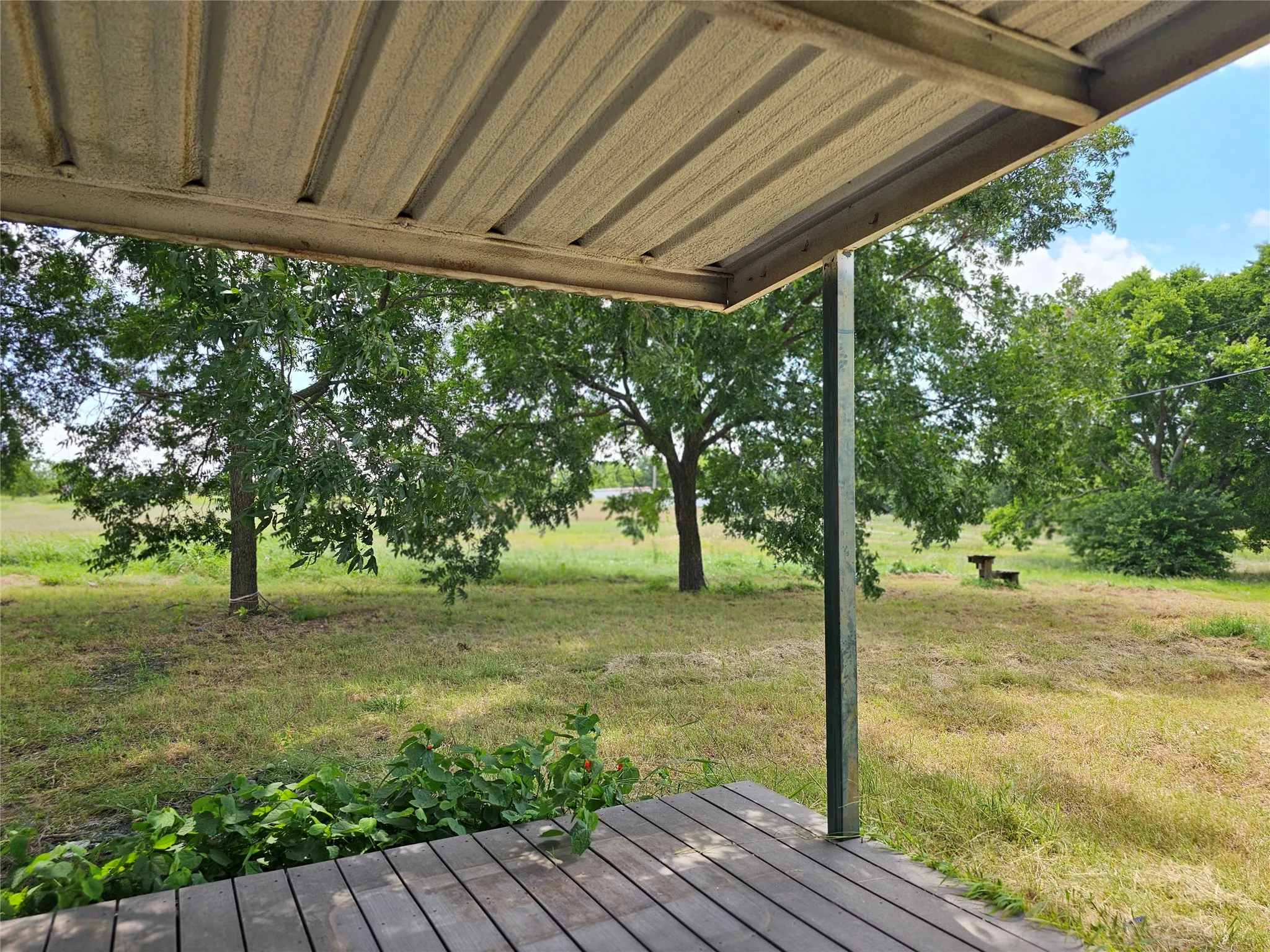 Back deck