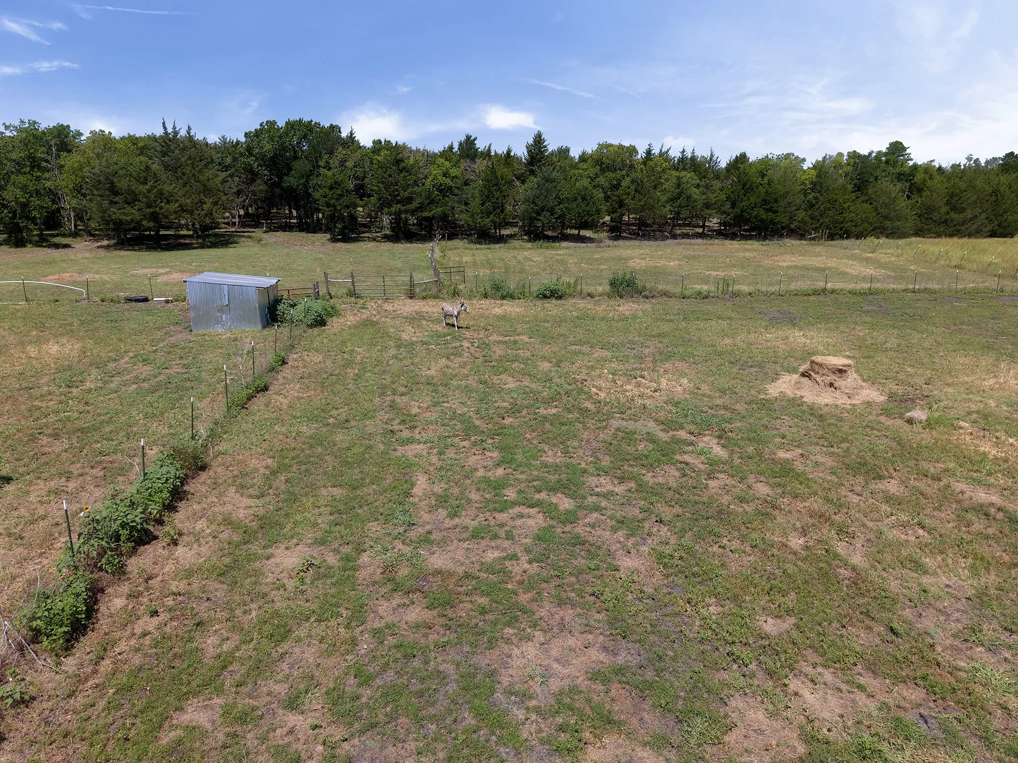 Expansive open field with a galvanized metal shed