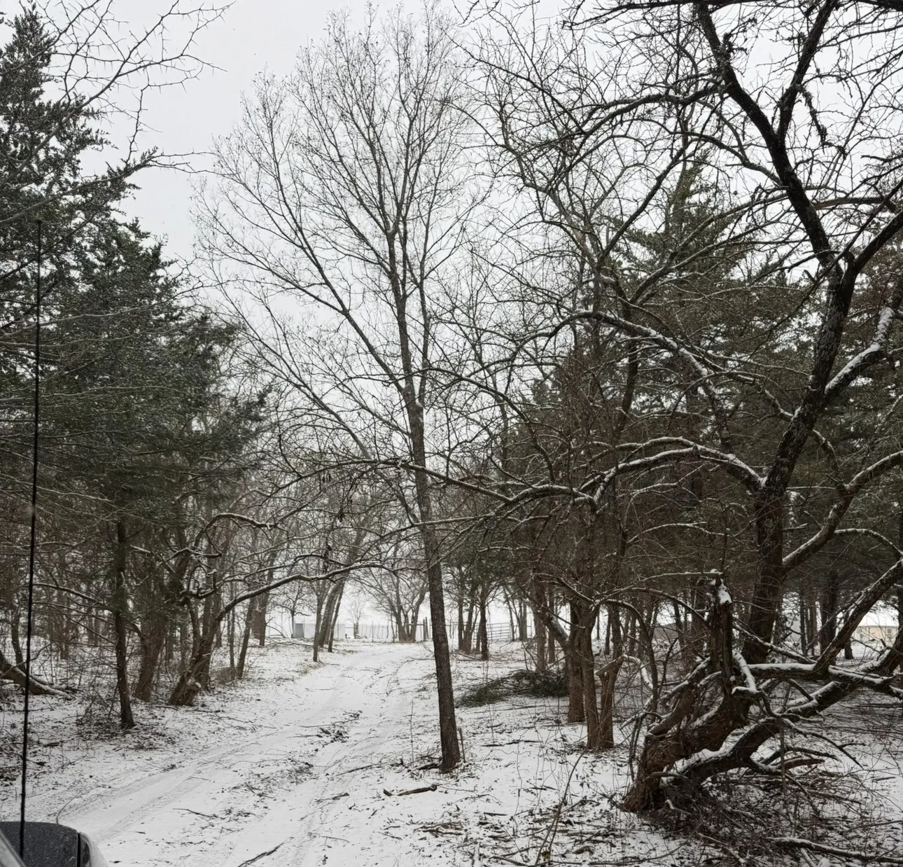 Improved Land For Sale in Hunt County , 1843 County Road 2140, Caddo Mills, Texas 75135, 0, 0, Garage spaces, 0 Sqft, built in 0, Price $474,900, mls#21330479, Real Estate Agent in Caddo Mills, Homes For Sale in Hunt county, Homes For Sale in Caddo Mills, Realtor in Caddo Mills Texas, Real Estate Brokerage Independent Realty Texas, Luminita Cordes Realtor