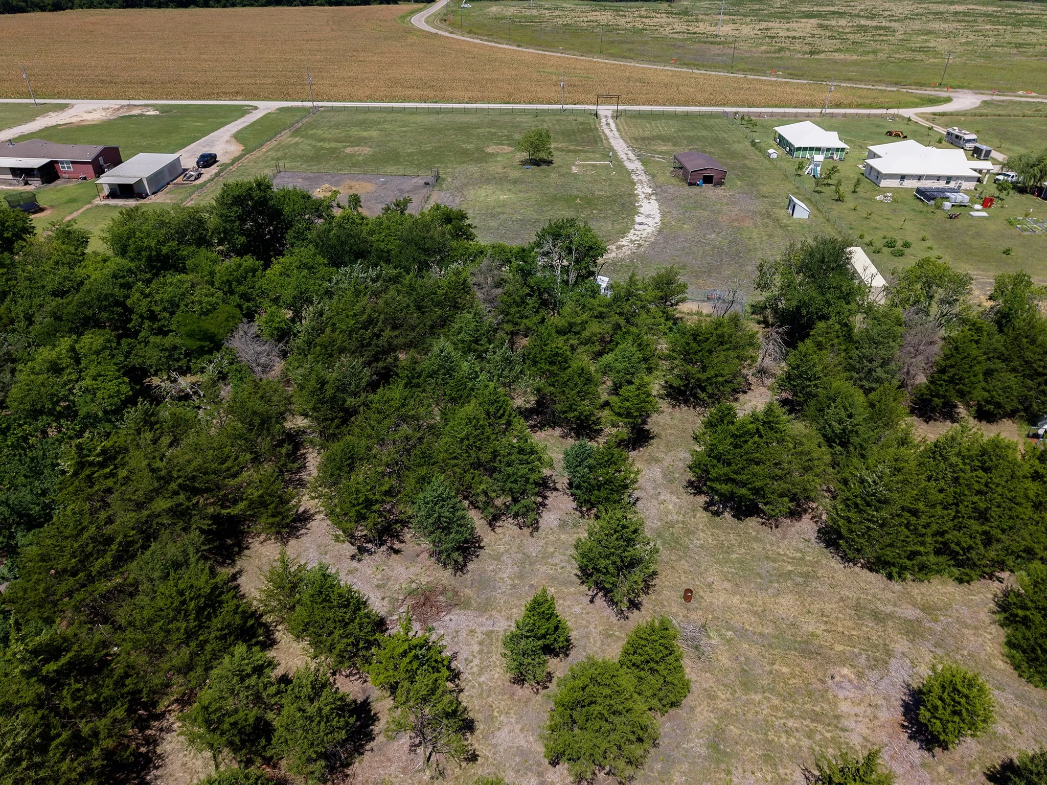 Extensive wooded acreage featuring mature trees and open clearings
