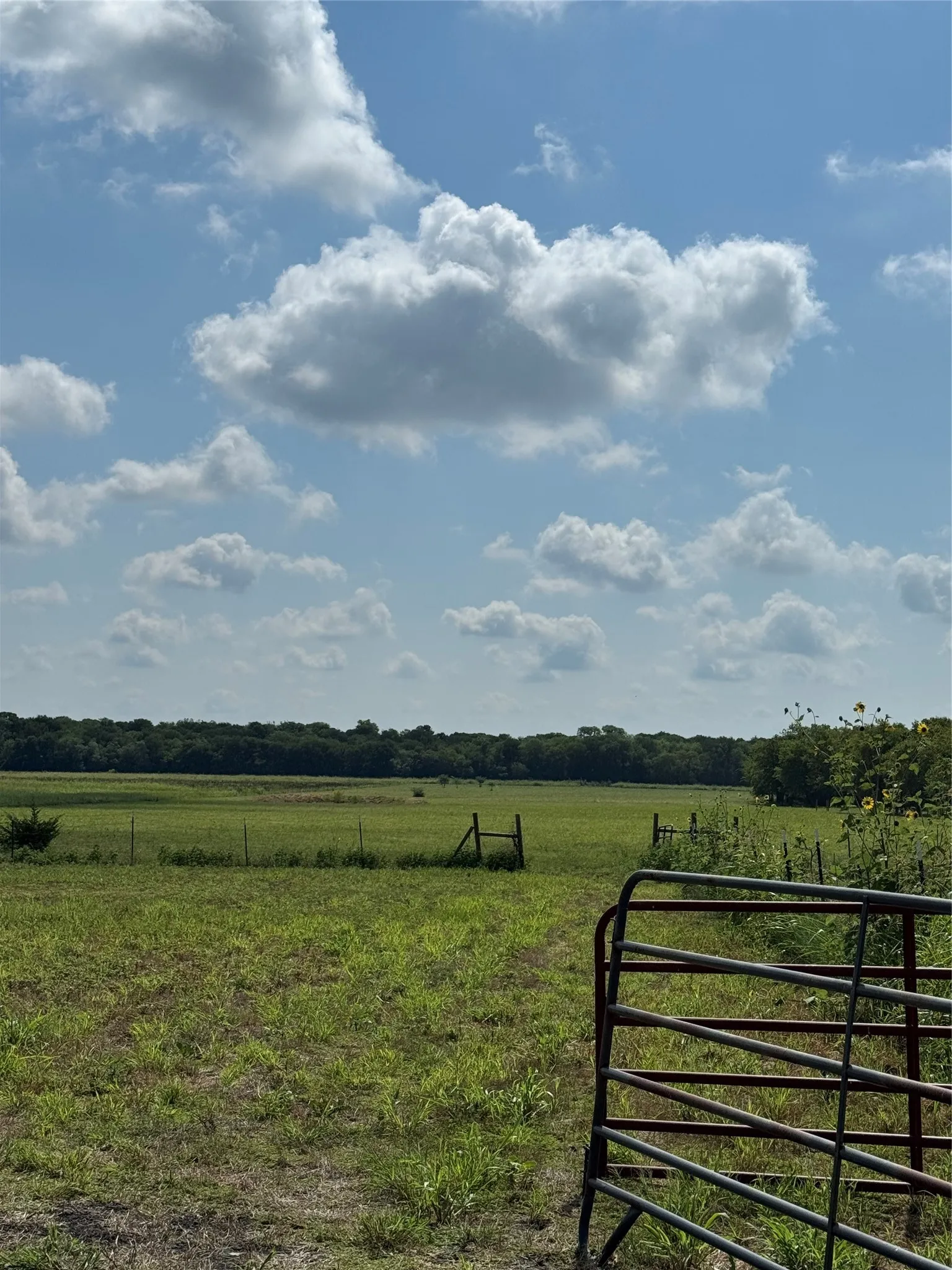Improved Land For Sale in Hunt County , 1843 County Road 2140, Caddo Mills, Texas 75135, 0, 0, Garage spaces, 0 Sqft, built in 0, Price $474,900, mls#21330479, Real Estate Agent in Caddo Mills, Homes For Sale in Hunt county, Homes For Sale in Caddo Mills, Realtor in Caddo Mills Texas, Real Estate Brokerage Independent Realty Texas, Luminita Cordes Realtor