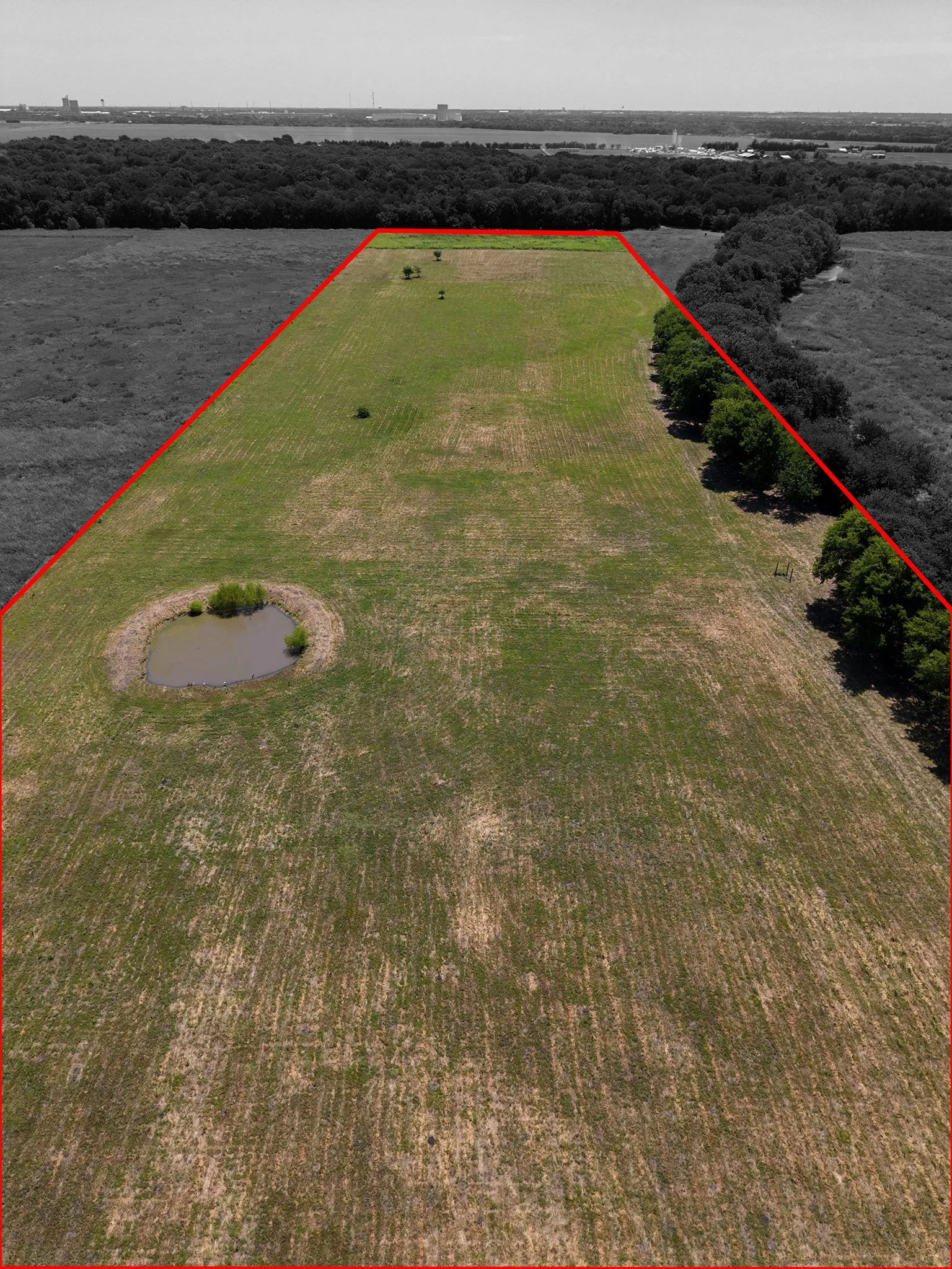 Expansive parcel featuring a mix of green grass bordered by a natural tree line along one side