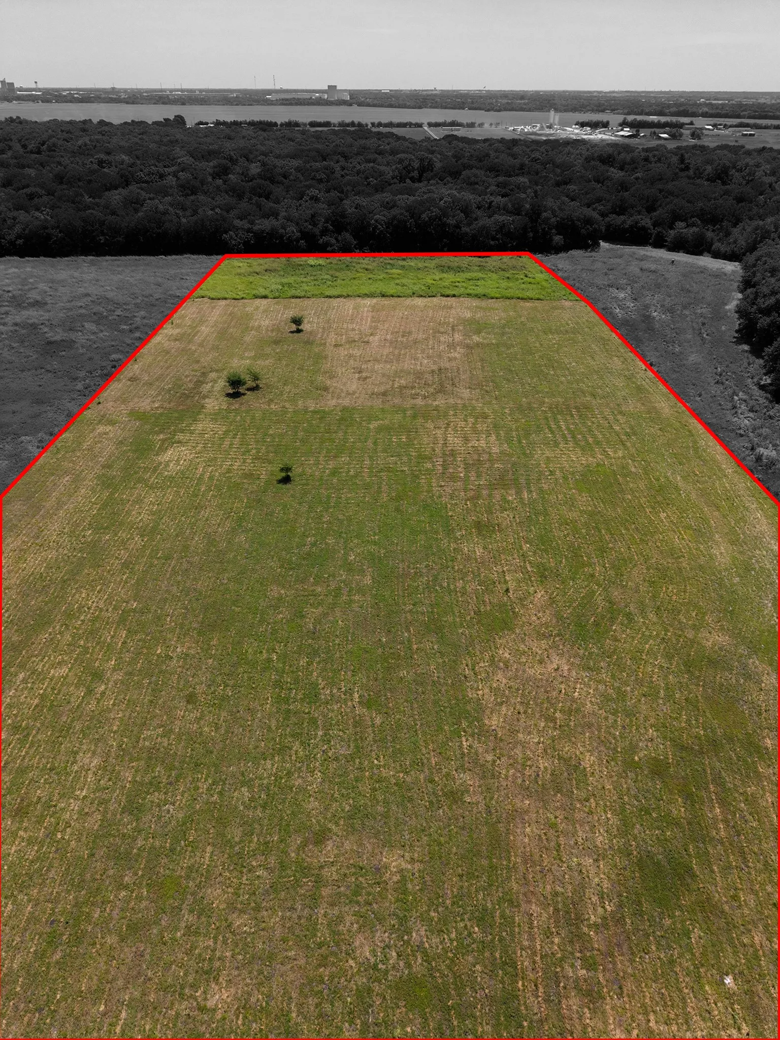 Expansive open land parcel featuring a clear, level terrain with scattered young trees, bordered by a dense tree line
