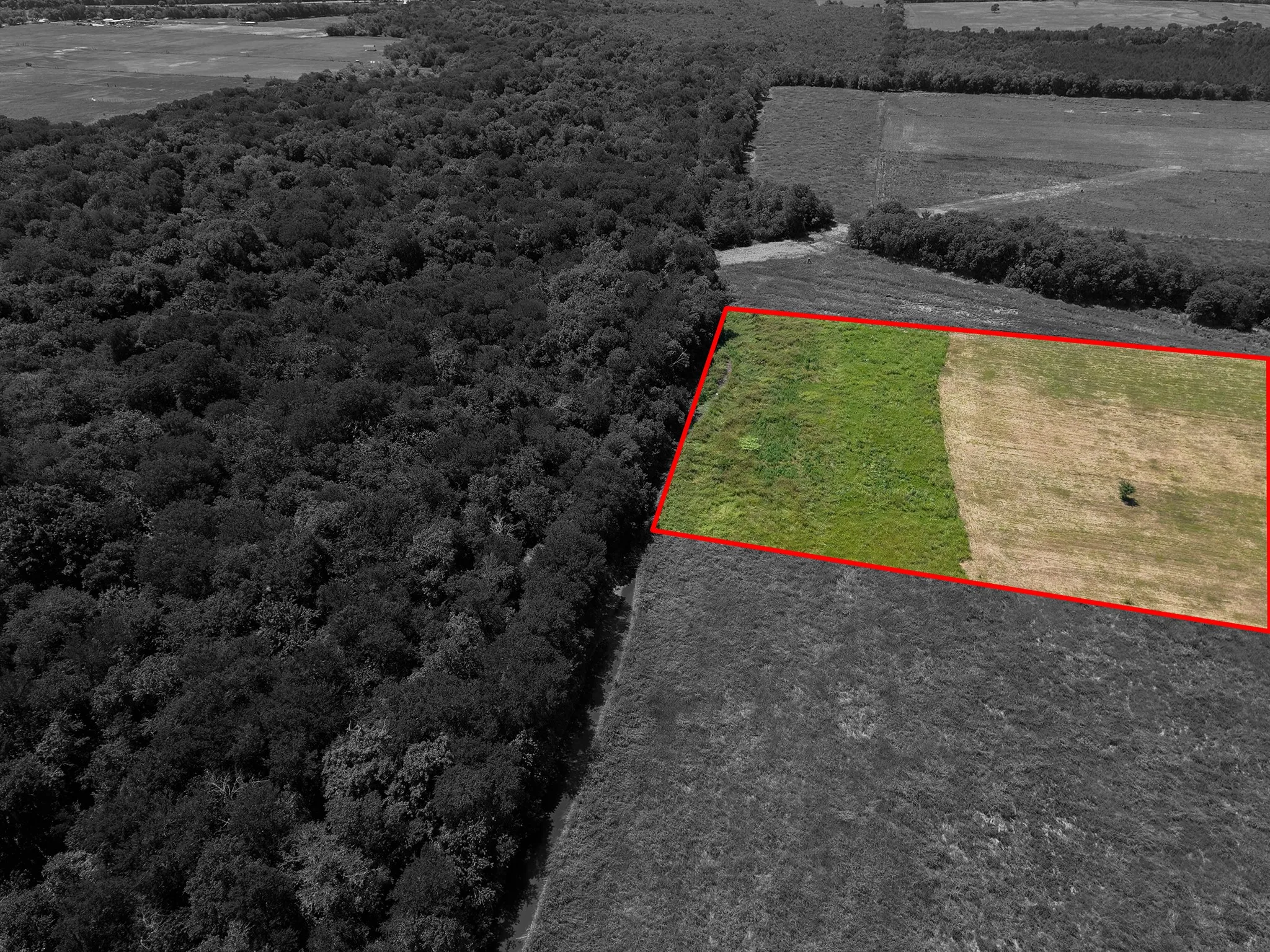 Cleared land parcel with a red-outlined boundary