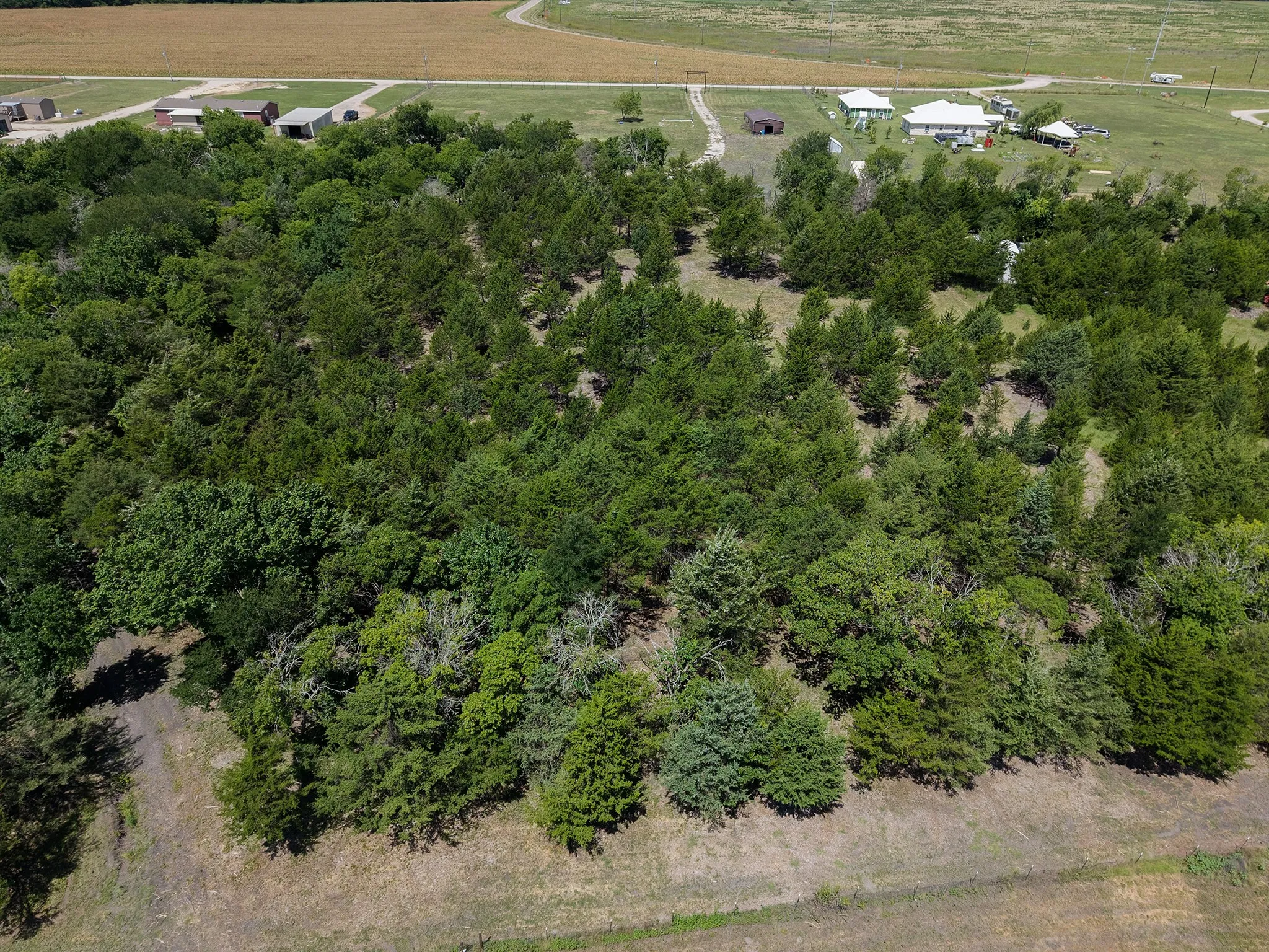 Expansive wooded acreage featuring a mix of trees
