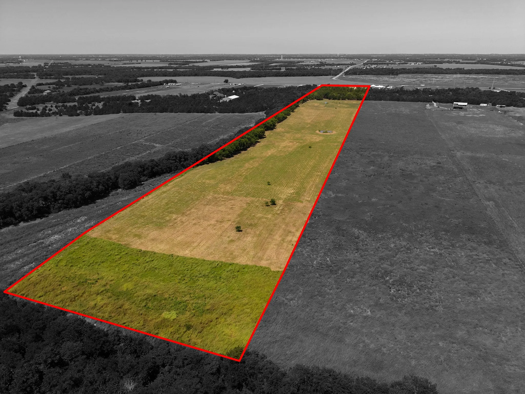 Expansive agricultural land with varied vegetation and natural tree lines bordering the perimeter