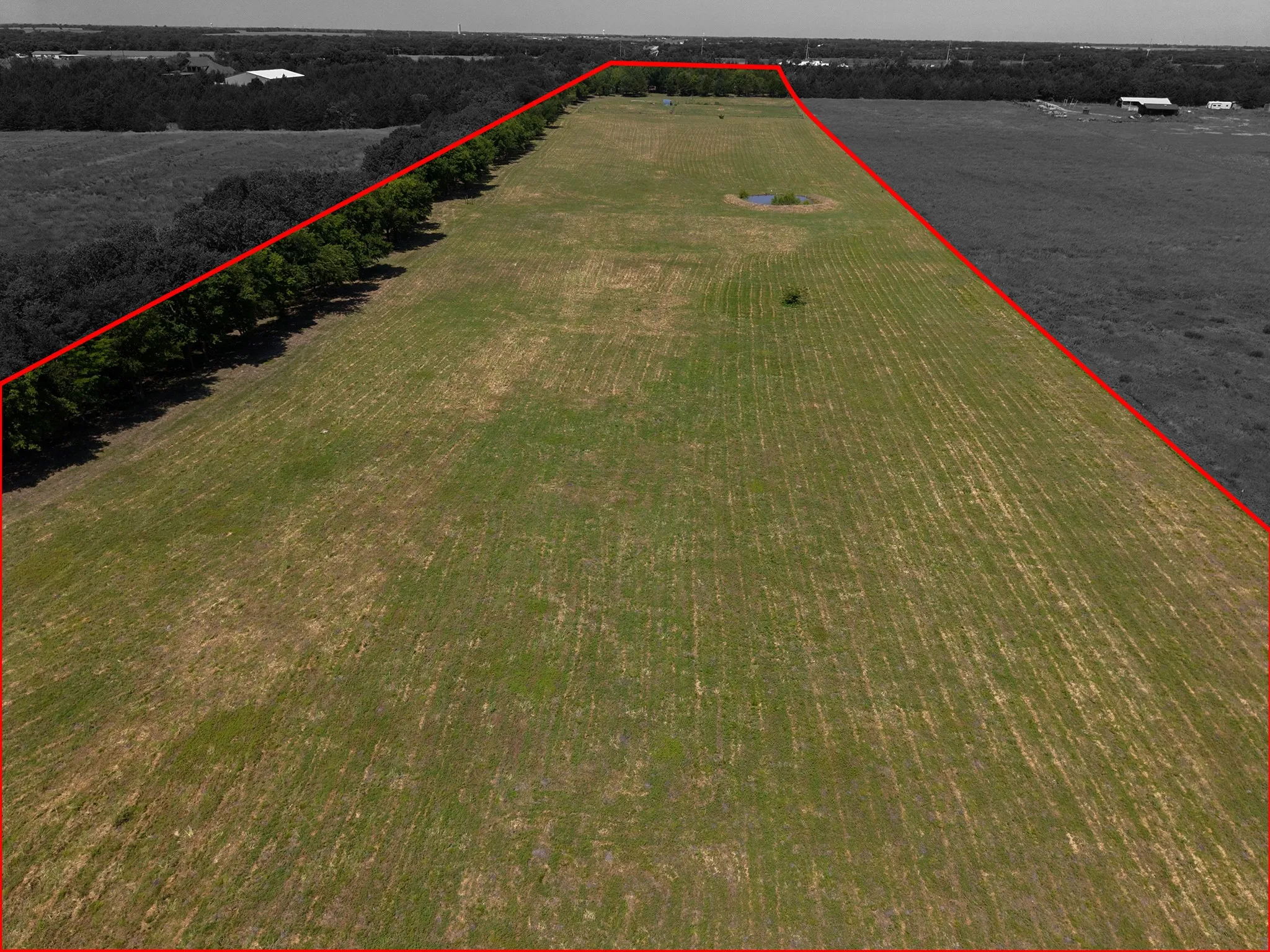 Expansive green acreage featuring a natural pond, mature tree line, and clear boundaries