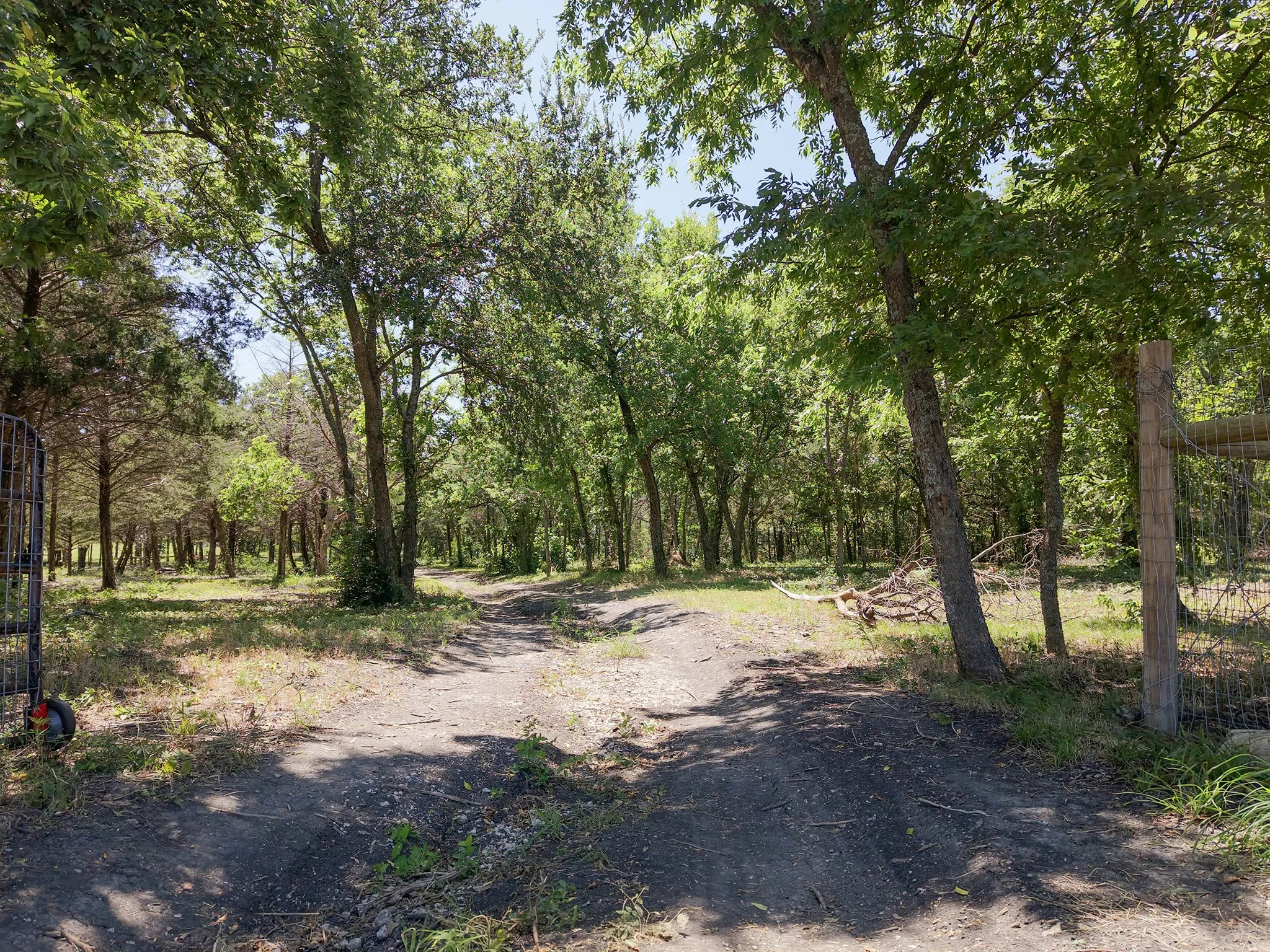 Wooded parcel featuring mature trees, a natural ground cover, and a partial wire fence
