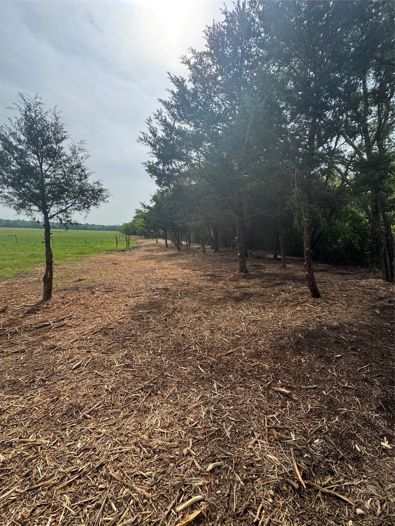 Improved Land For Sale in Hunt County , 1843 County Road 2140, Caddo Mills, Texas 75135, 0, 0, Garage spaces, 0 Sqft, built in 0, Price $474,900, mls#21330479, Real Estate Agent in Caddo Mills, Homes For Sale in Hunt county, Homes For Sale in Caddo Mills, Realtor in Caddo Mills Texas, Real Estate Brokerage Independent Realty Texas, Luminita Cordes Realtor