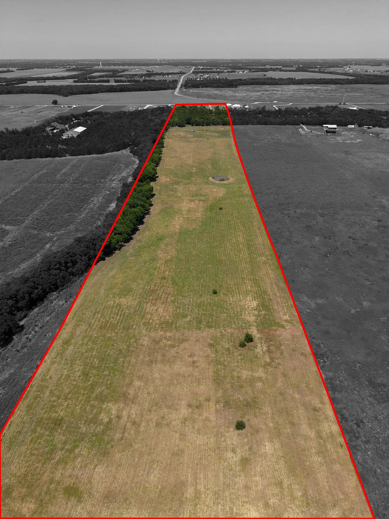 Expansive agricultural land featuring a small pond and bordered by mature trees along one side
